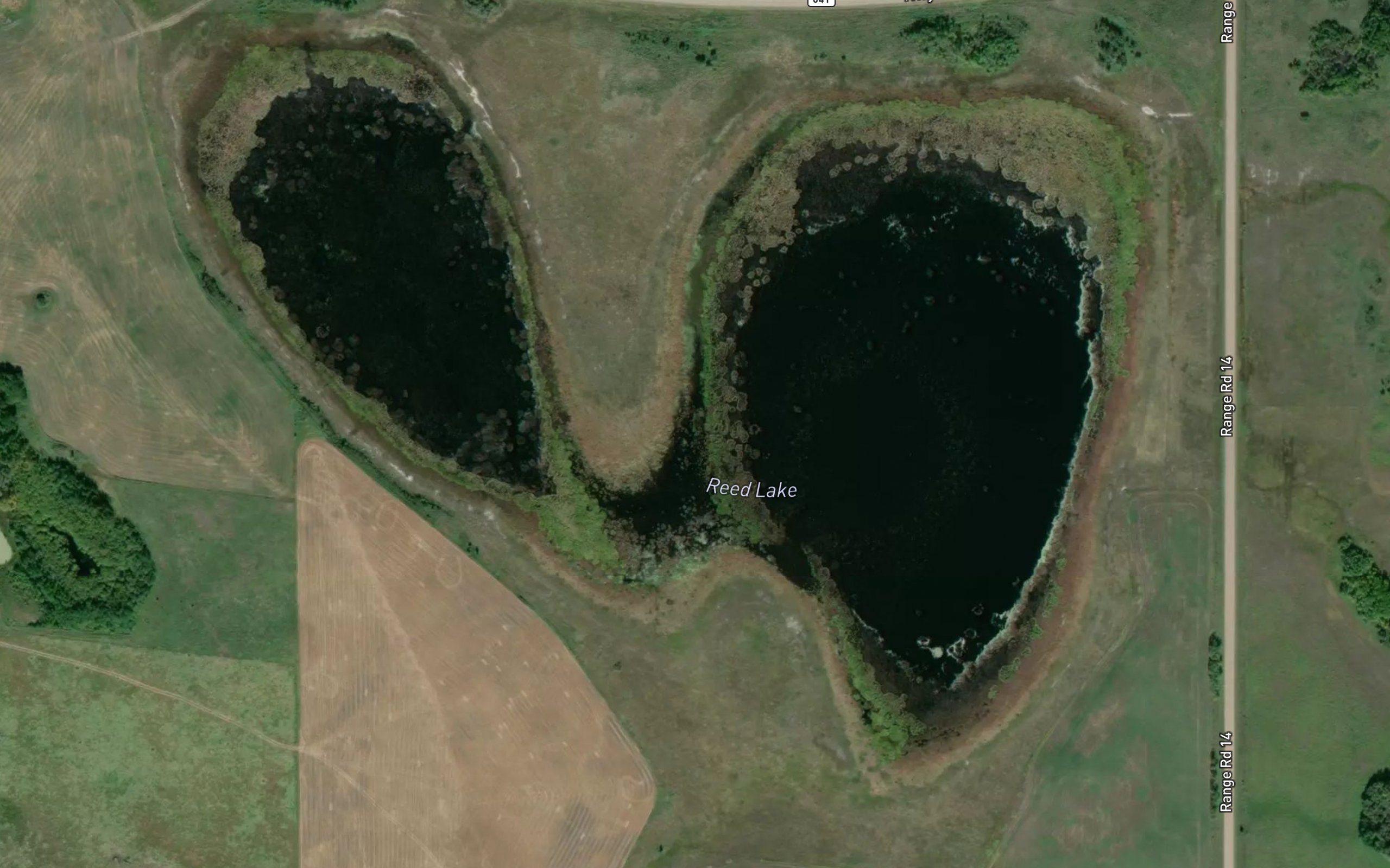 Reed Lake