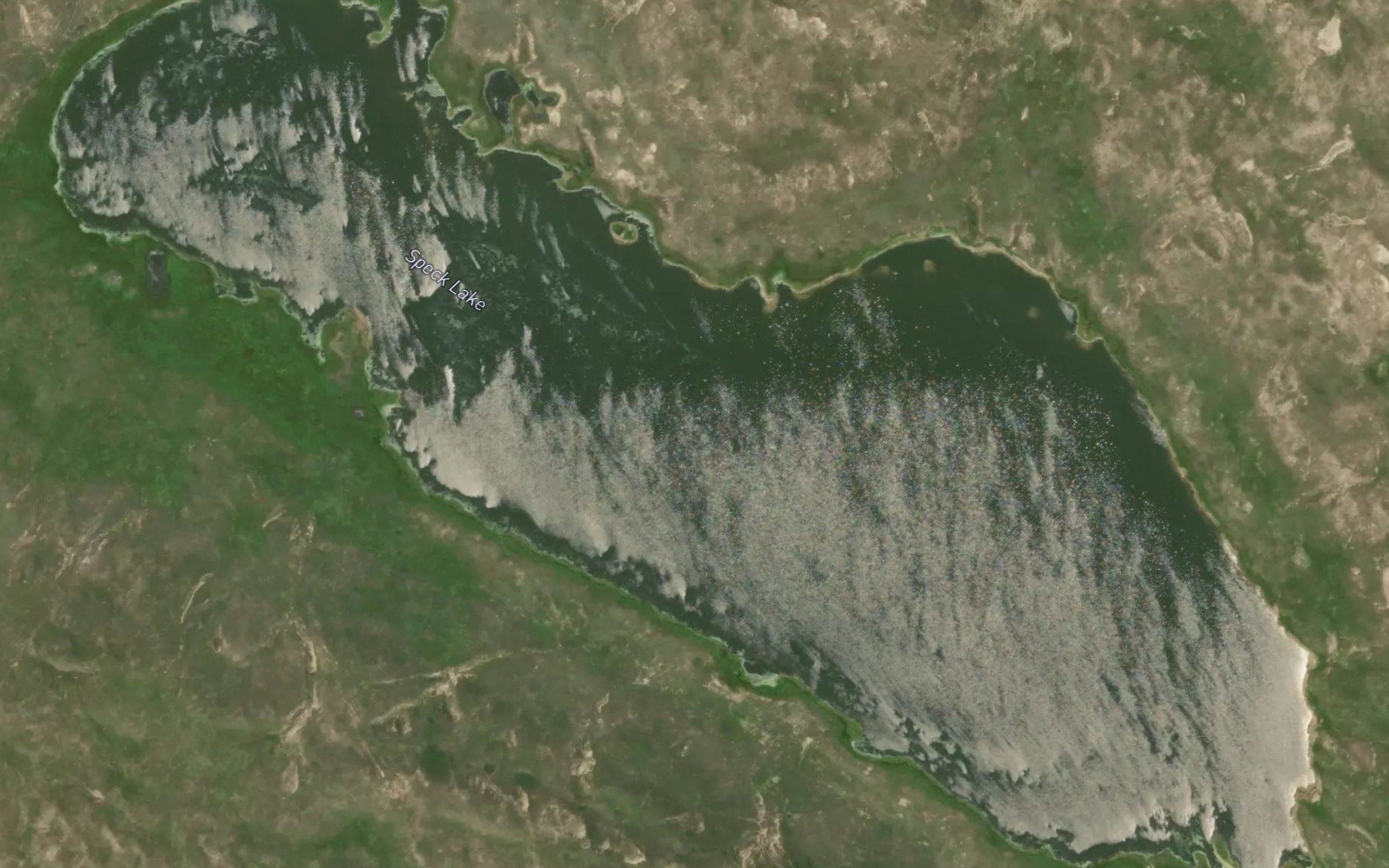 Speck Lake