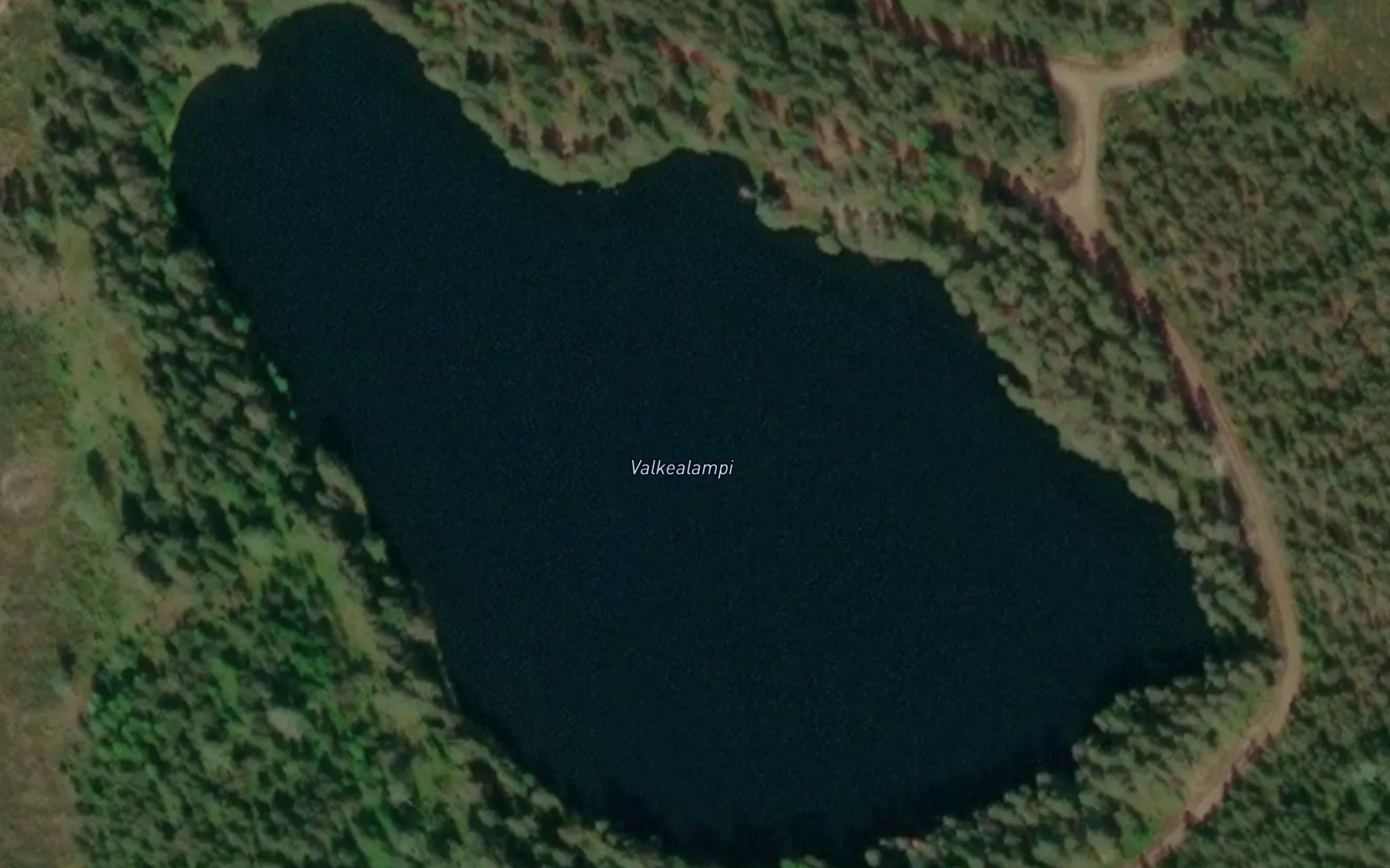Valkealampi