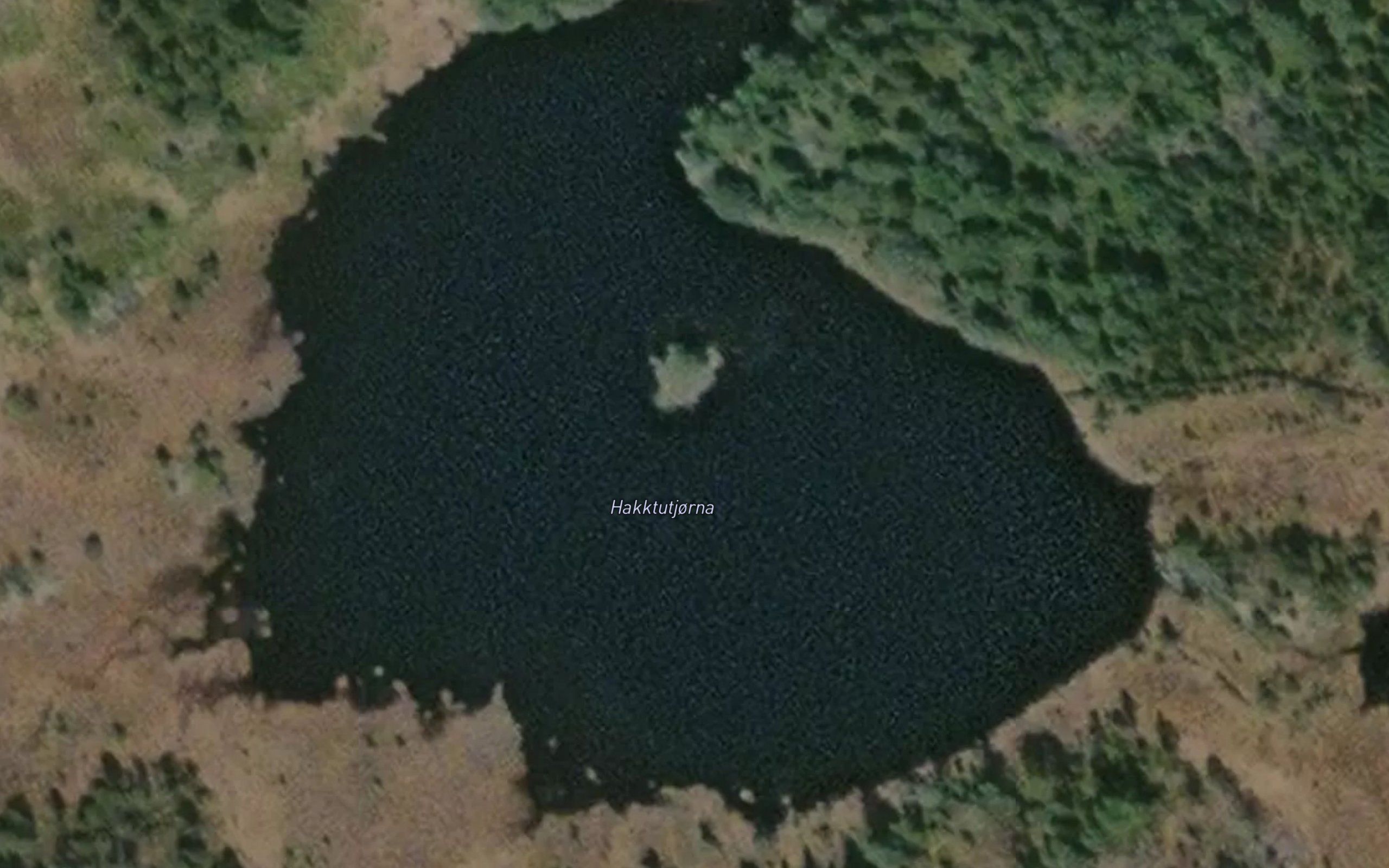 Hakktutjorna