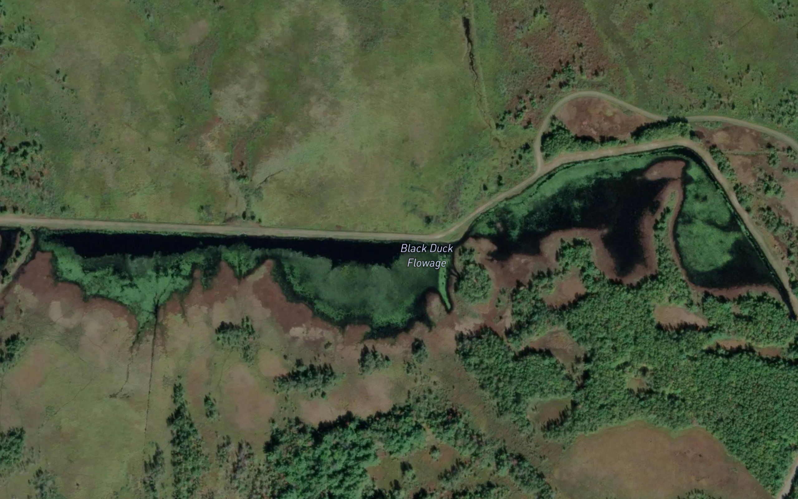 Black Duck Flowage