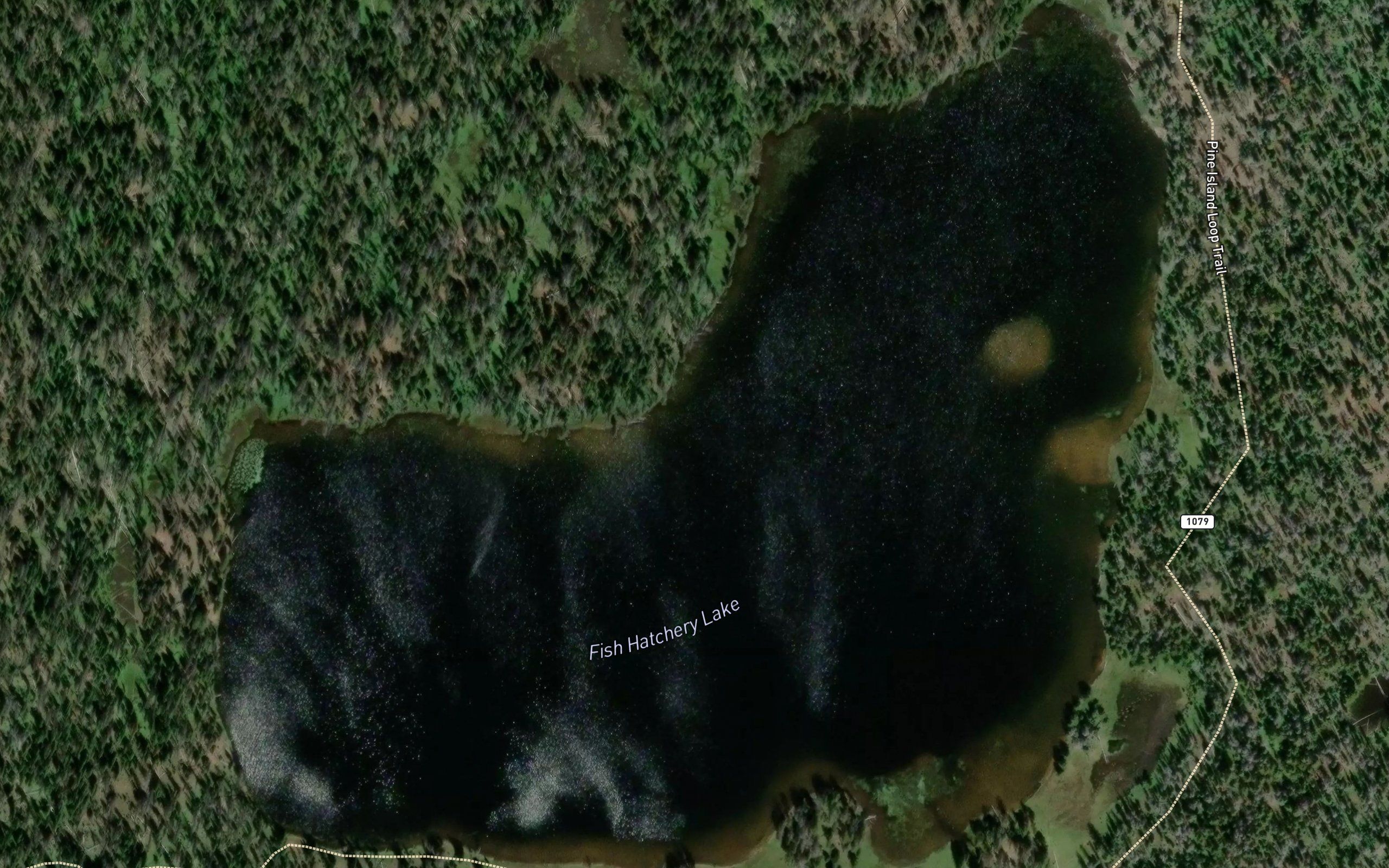Fish Hatchery Lake