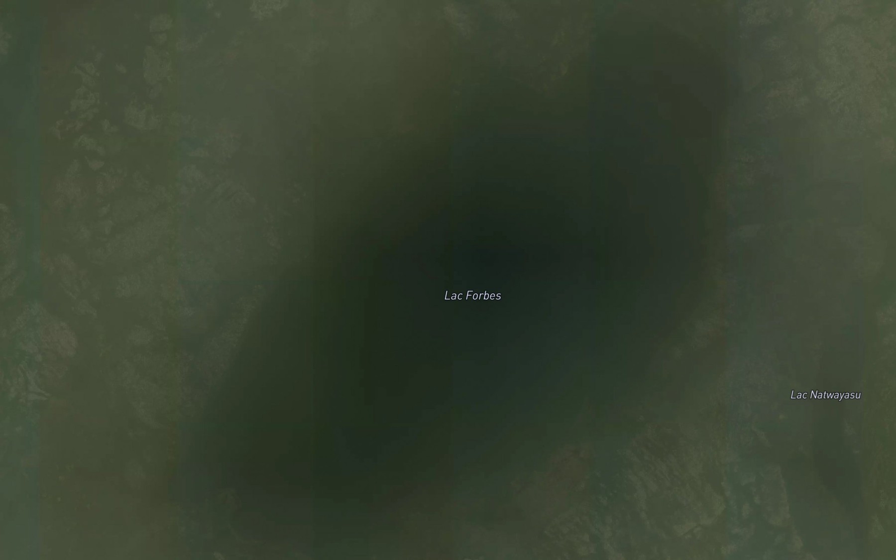Satellite map of the Lac Forbes