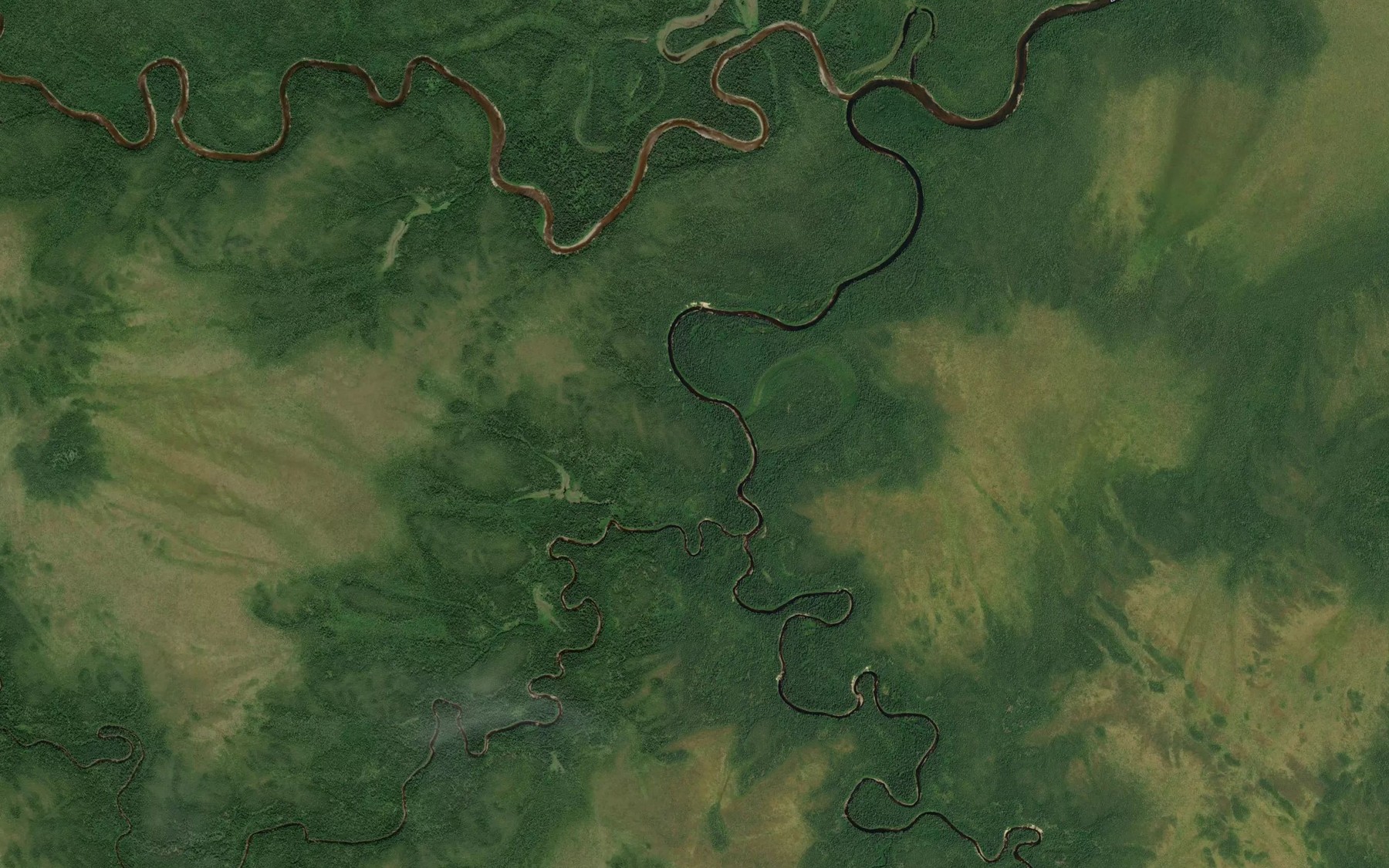 Satellite map of the Michel Creek