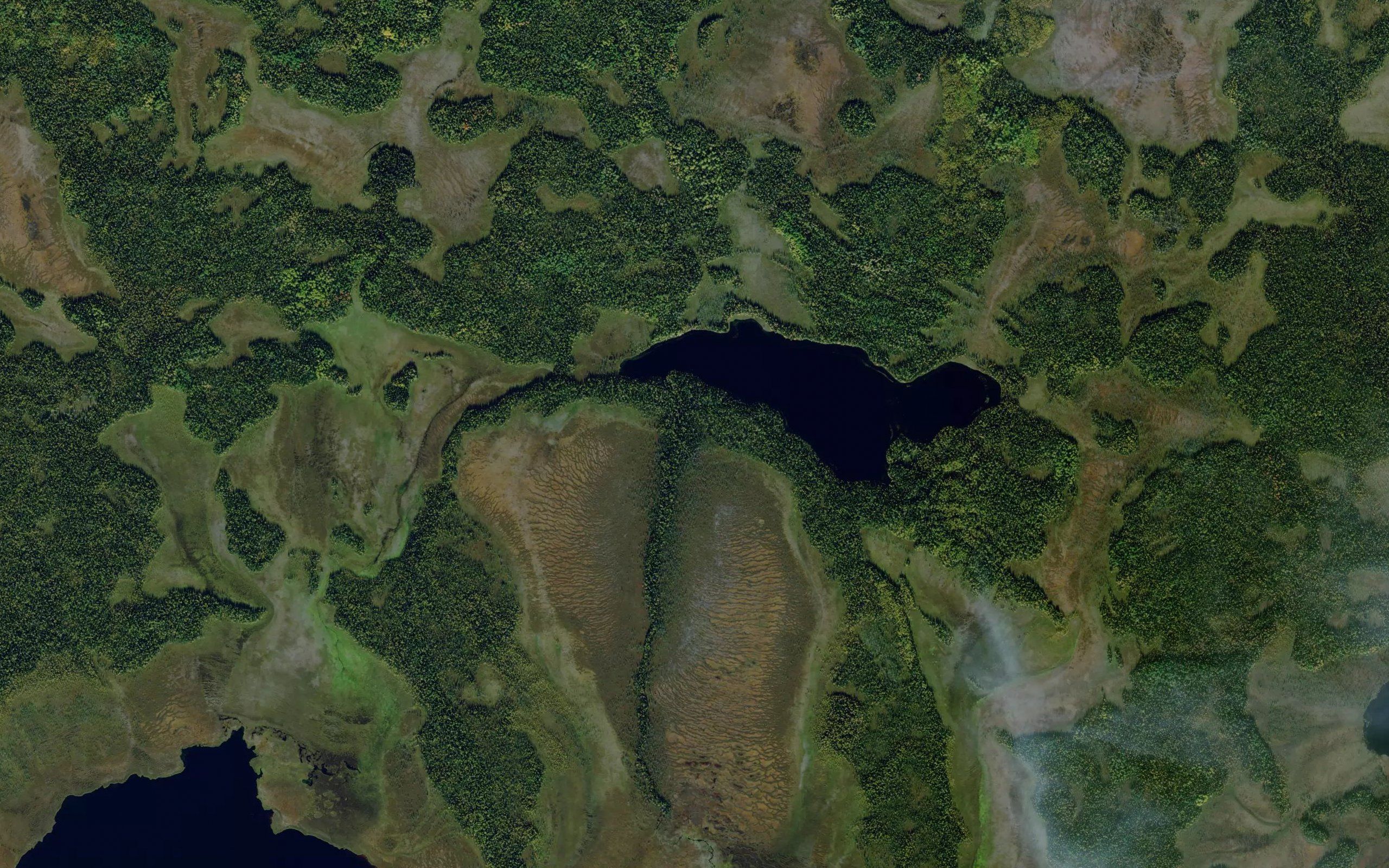 Ozero Zakhrebetnoye