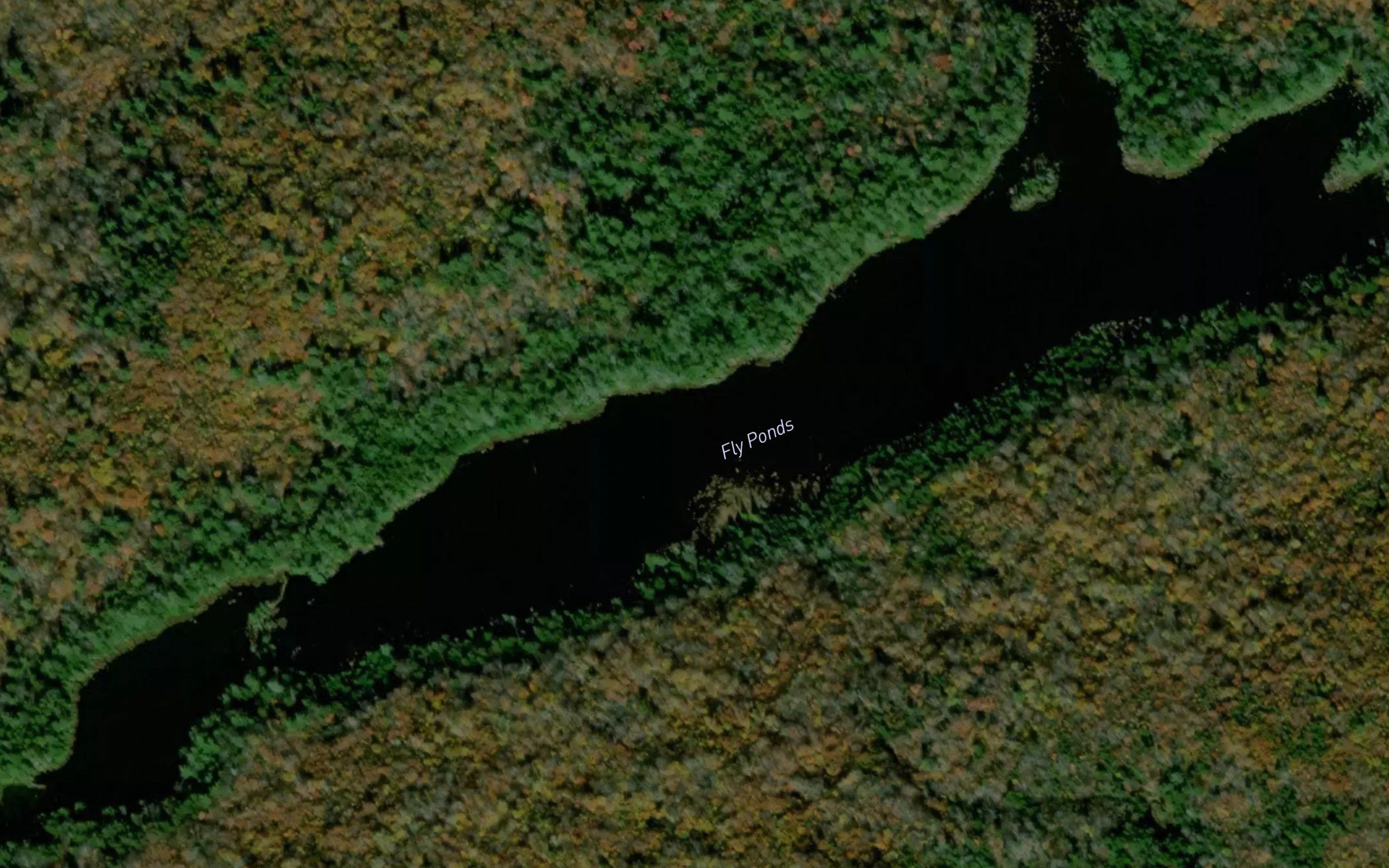 Fly Ponds