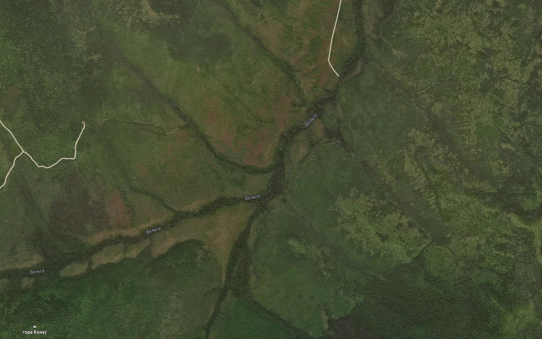 Satellite map of the Smezhnyy