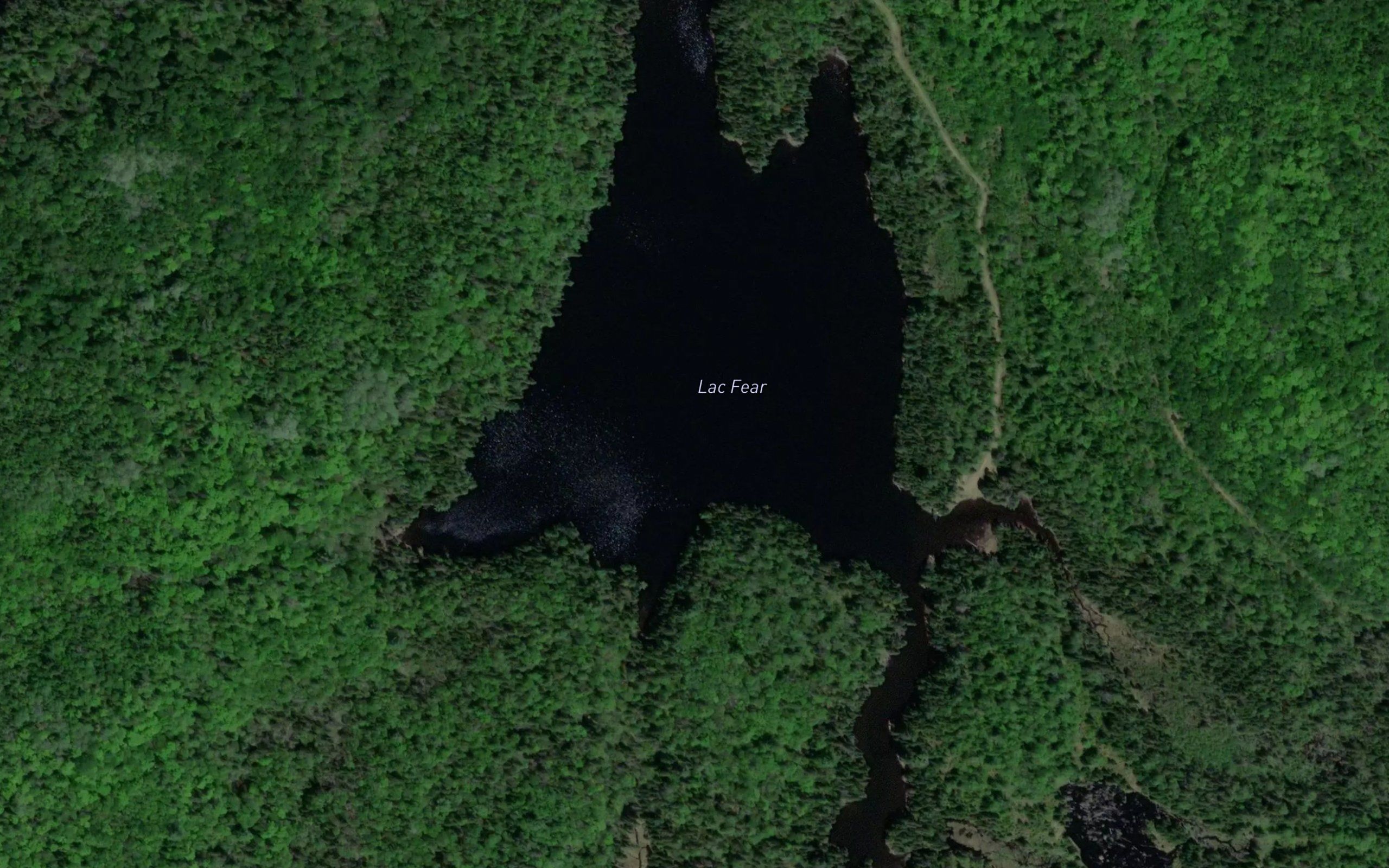 Lac Fear