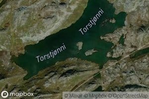 Torstjonni