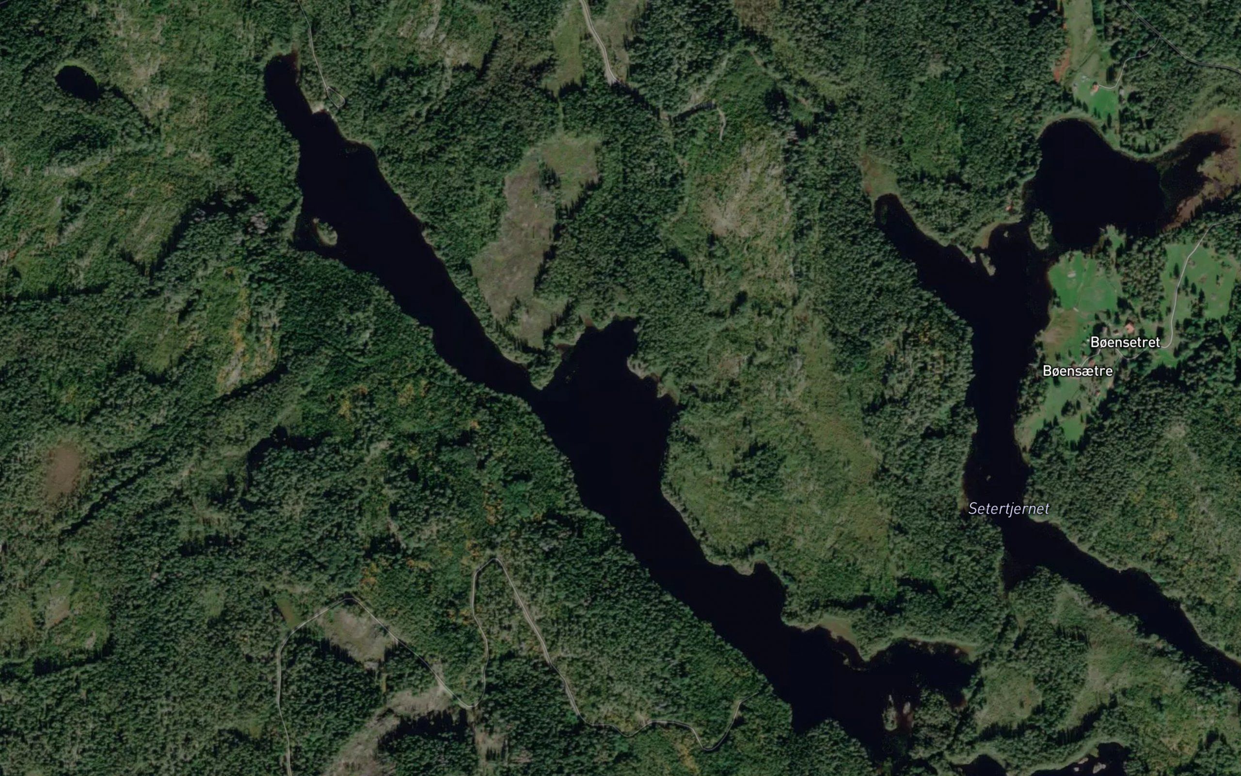 Langetjernet
