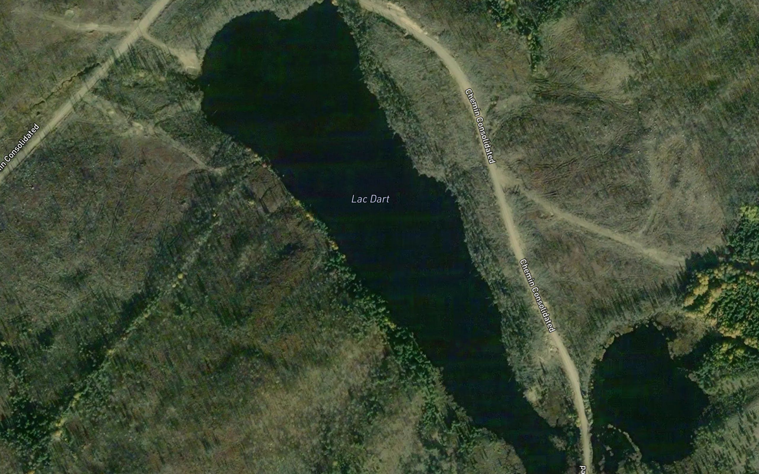 Lac Dart