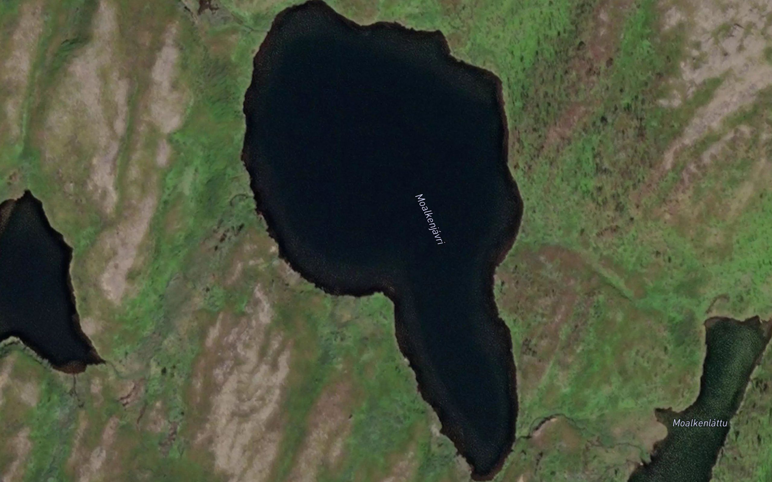 Moalkenjavri