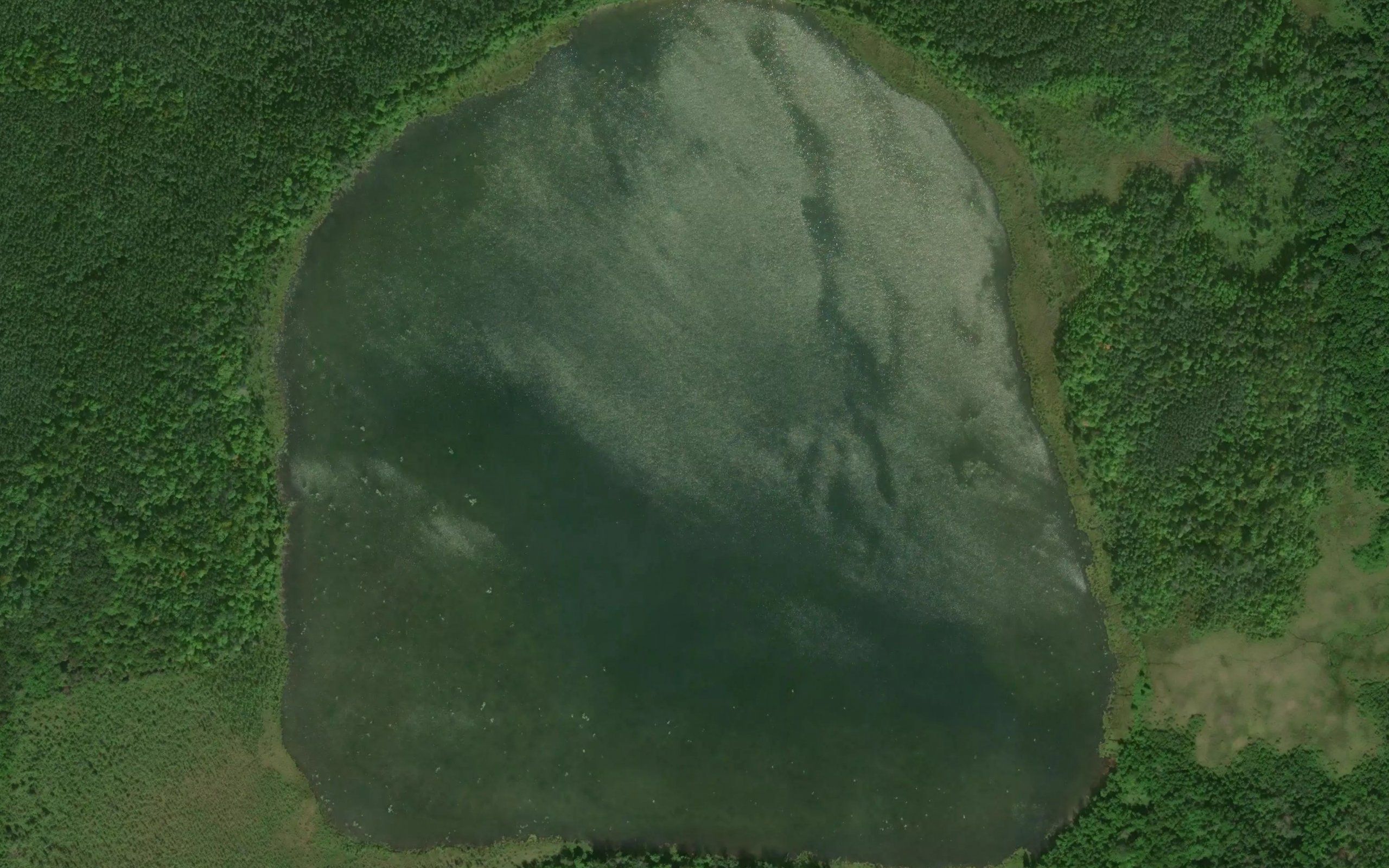 Gibibwisher Lake