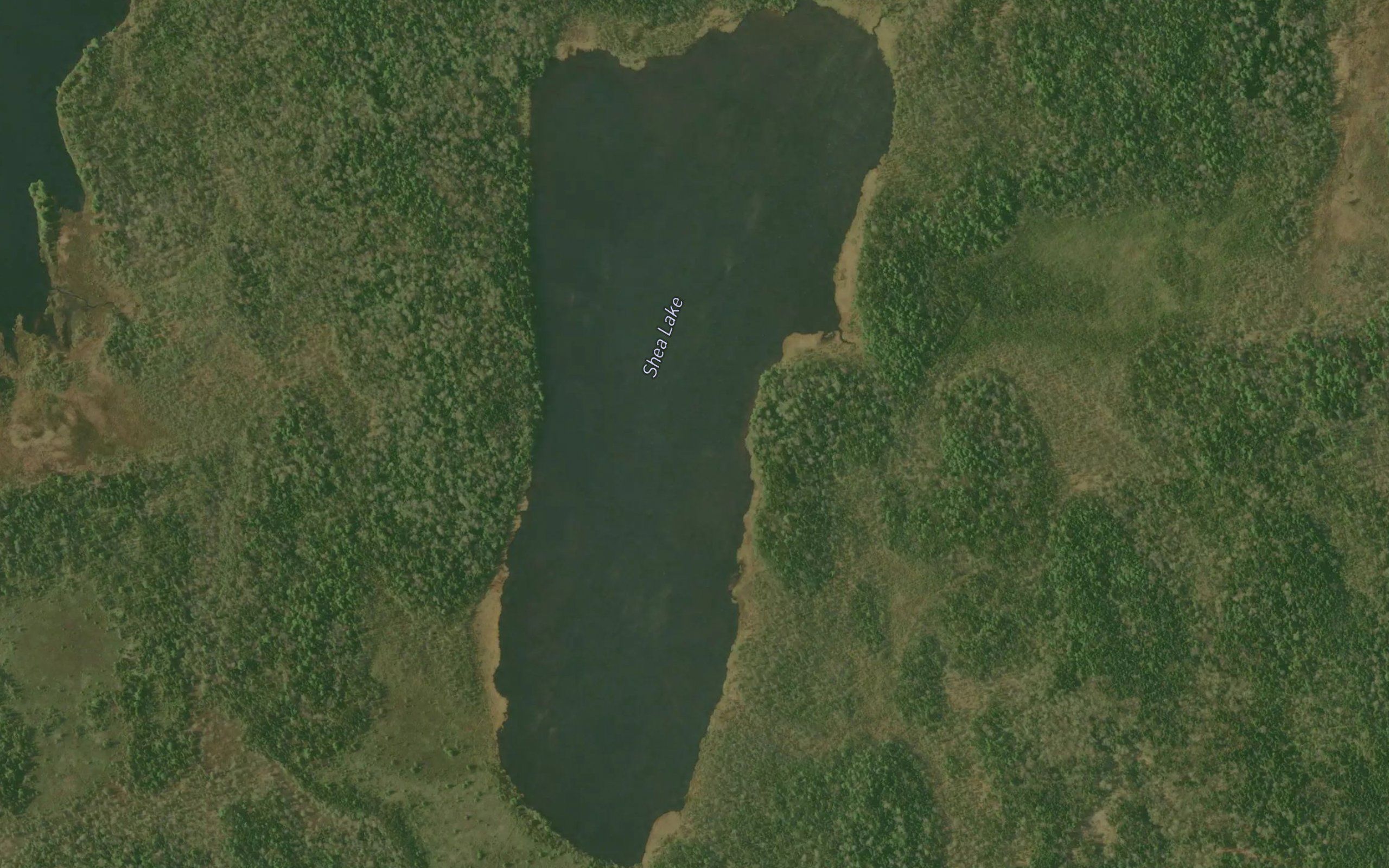 Shea Lake