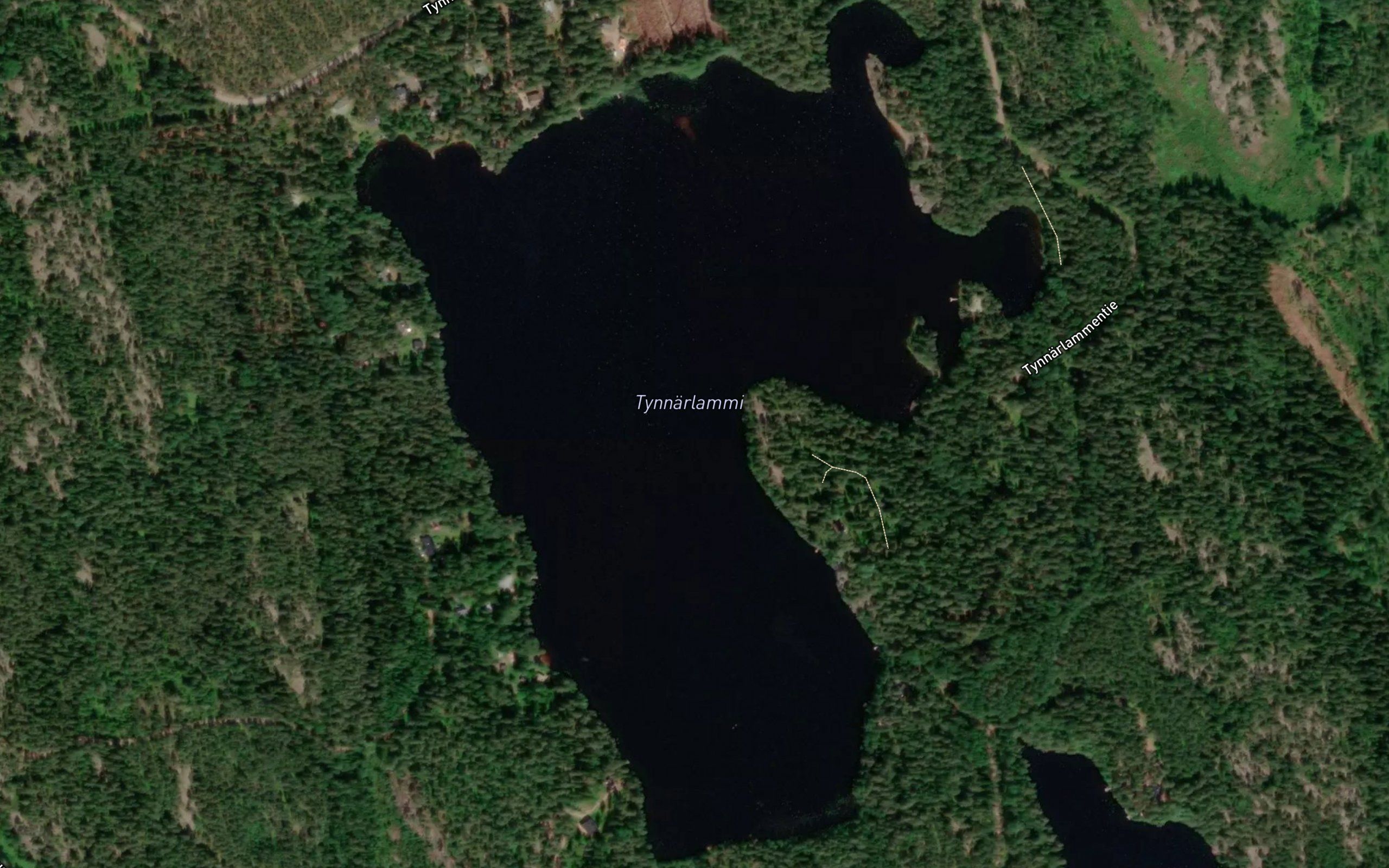 Tynnarlammi