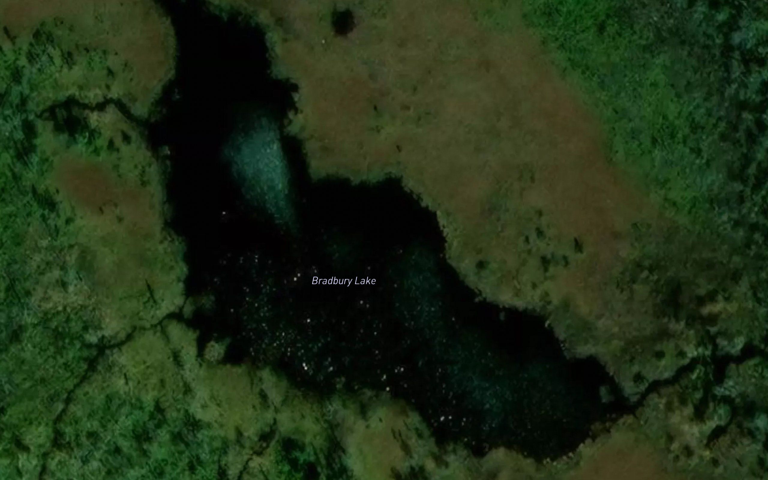Bradbury Lake