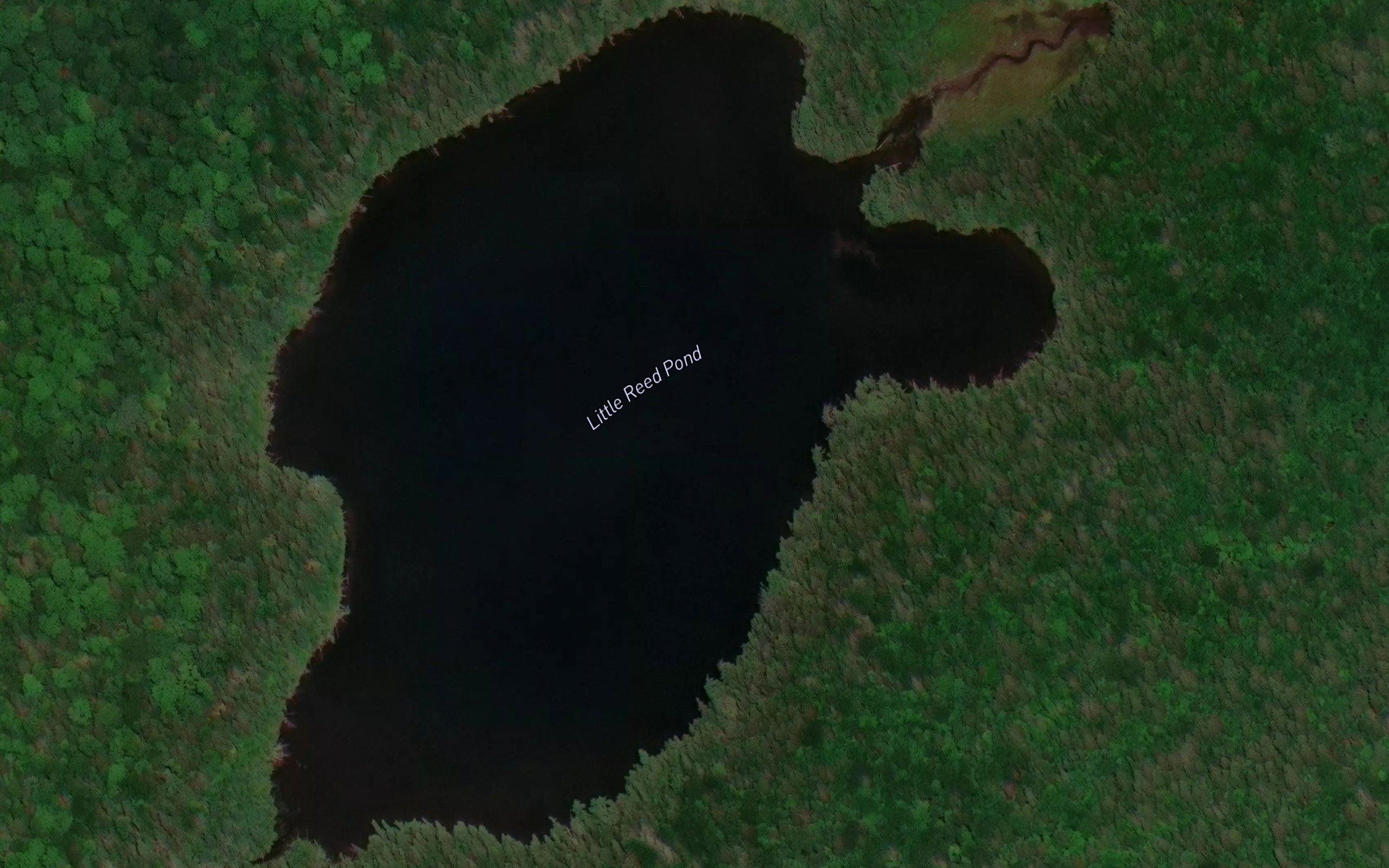 Little Reed Pond