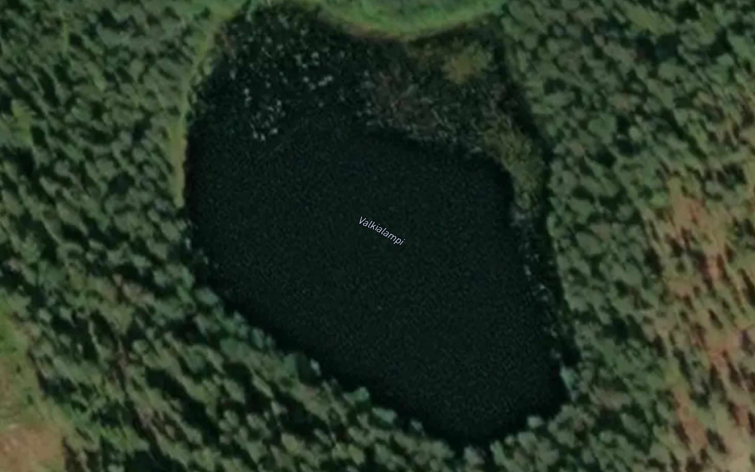 Haukilampi