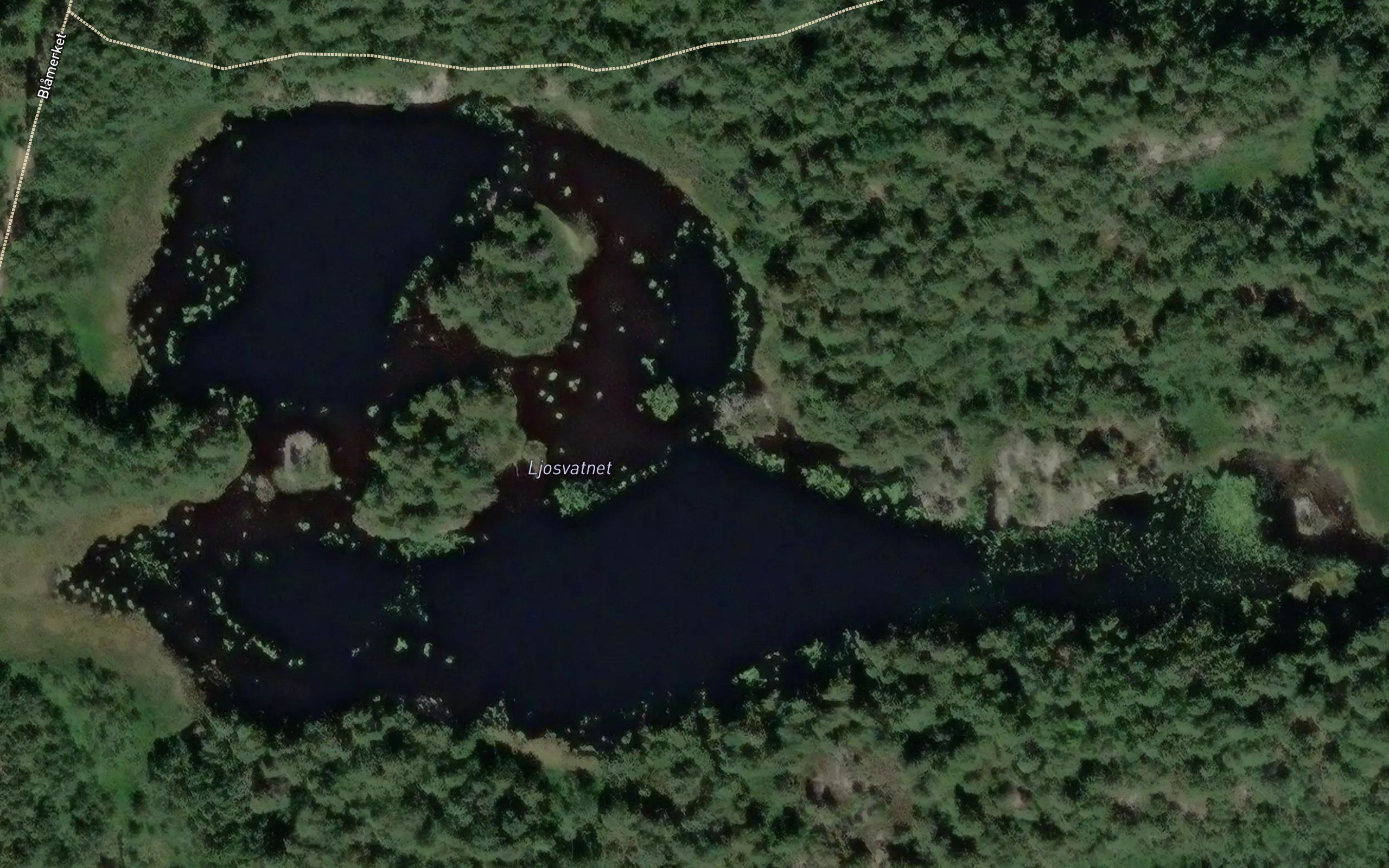 Jusvatnet