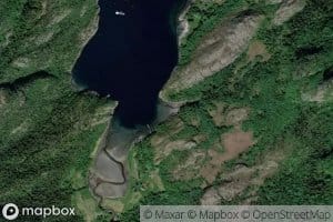 Jektvika