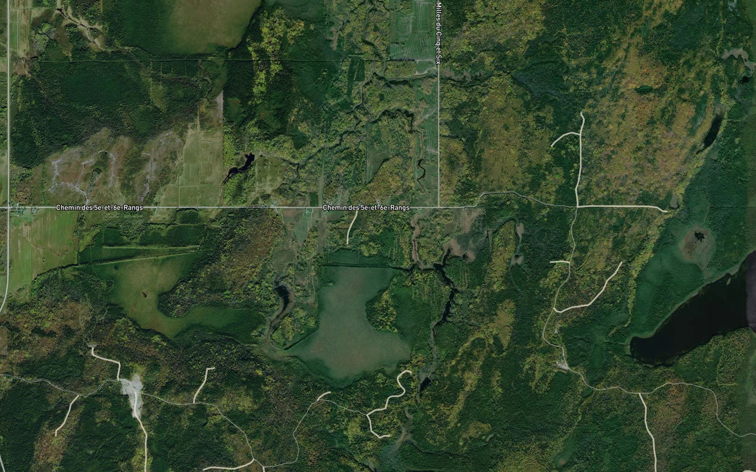 Branche Poitras