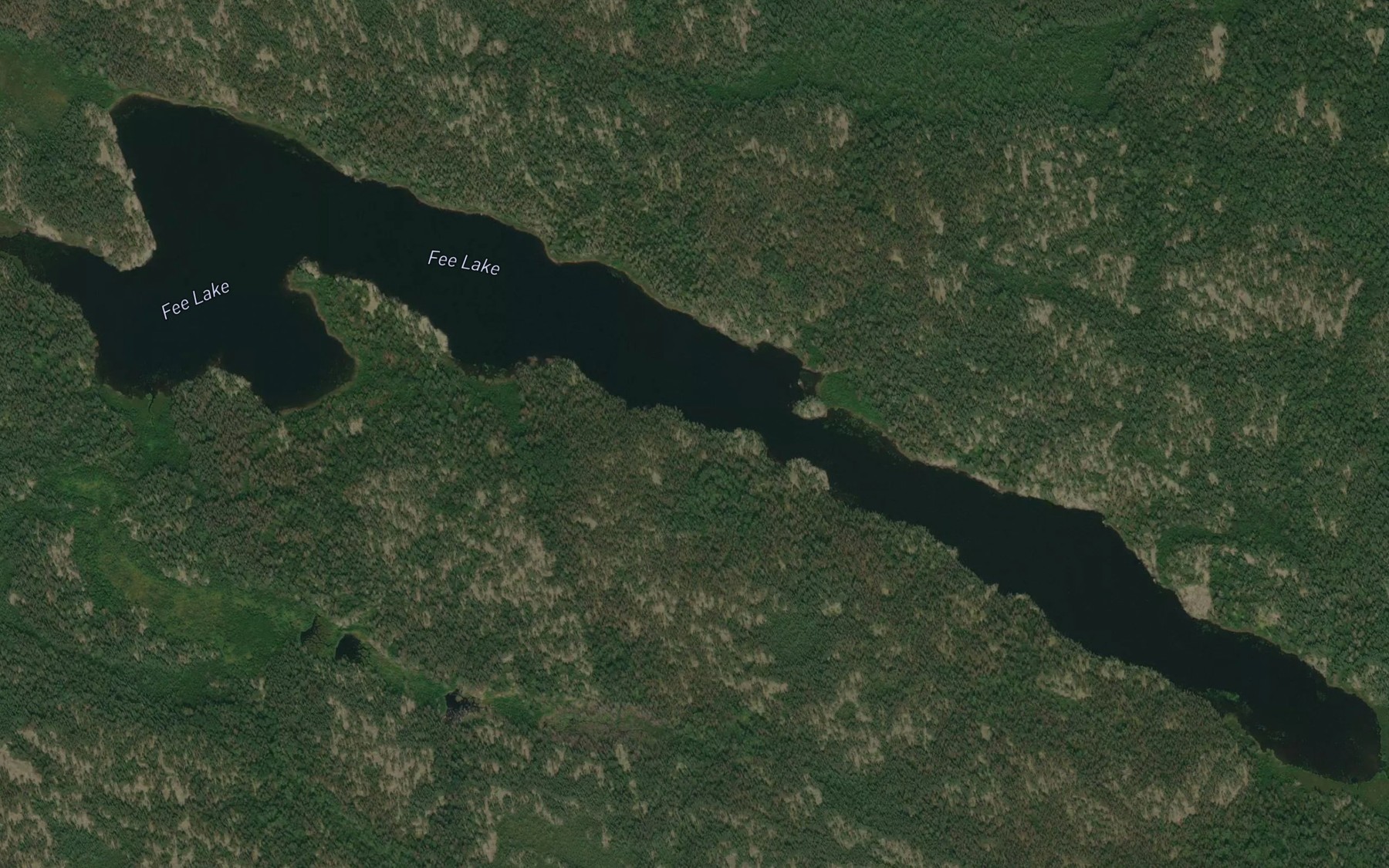 Satellite map of the Fee Lake
