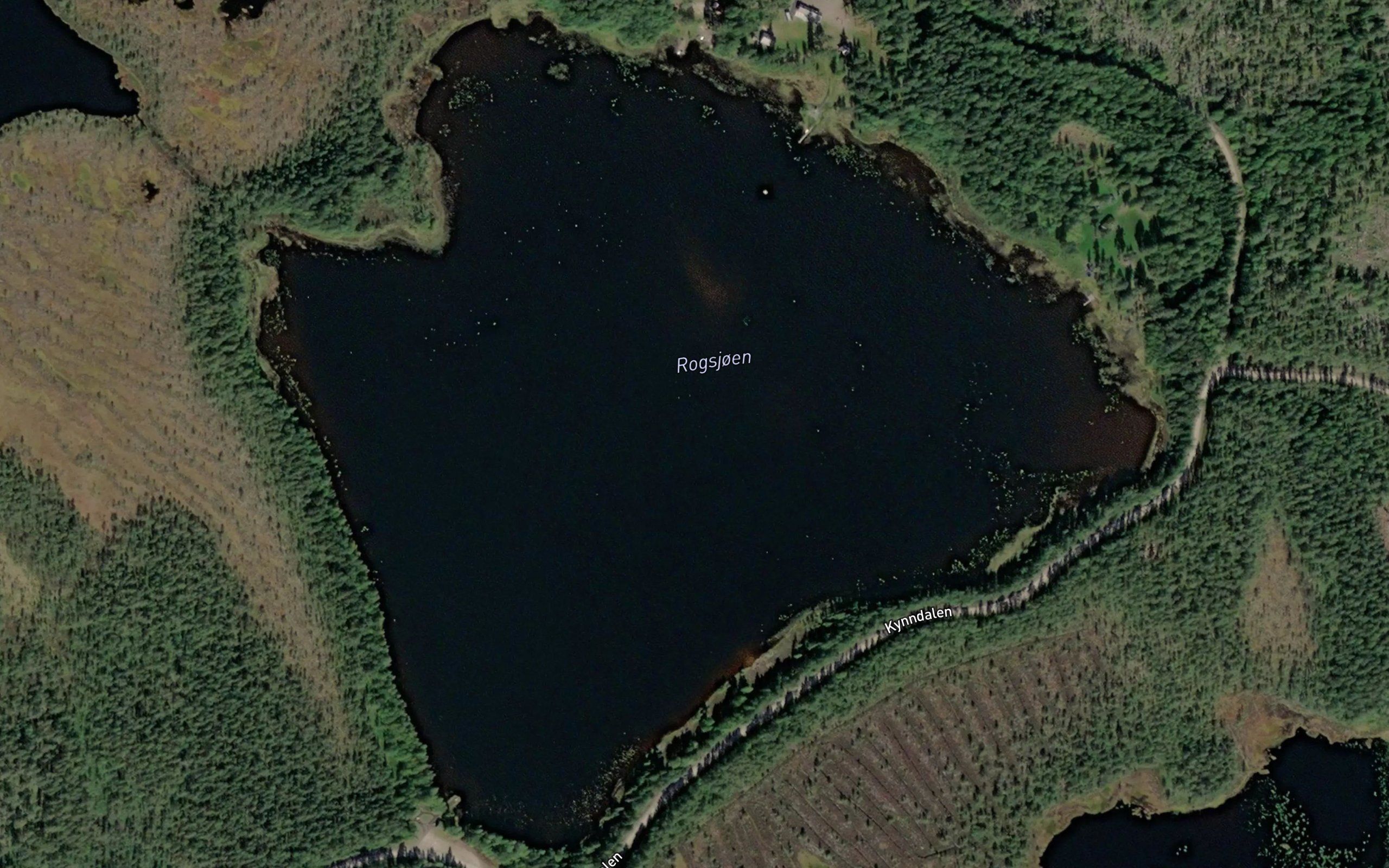 Rogsjoen
