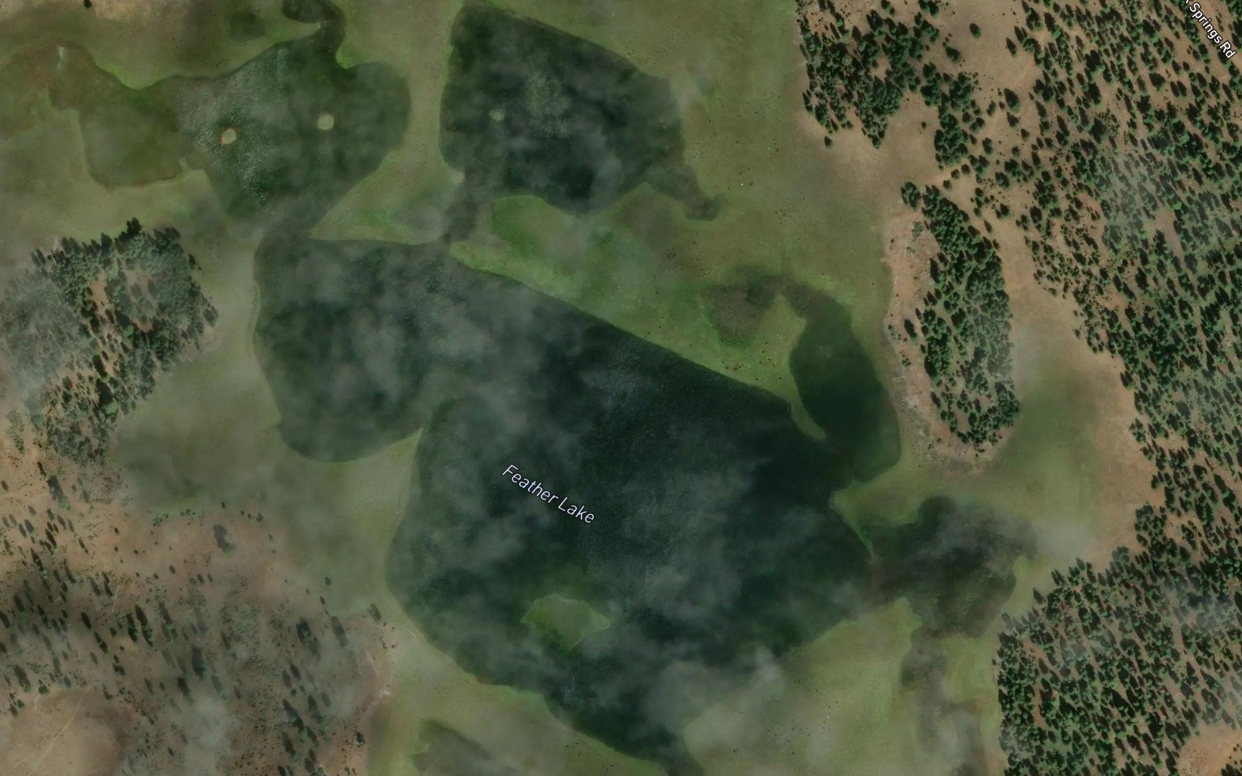 Satellite map of the Feather Lake