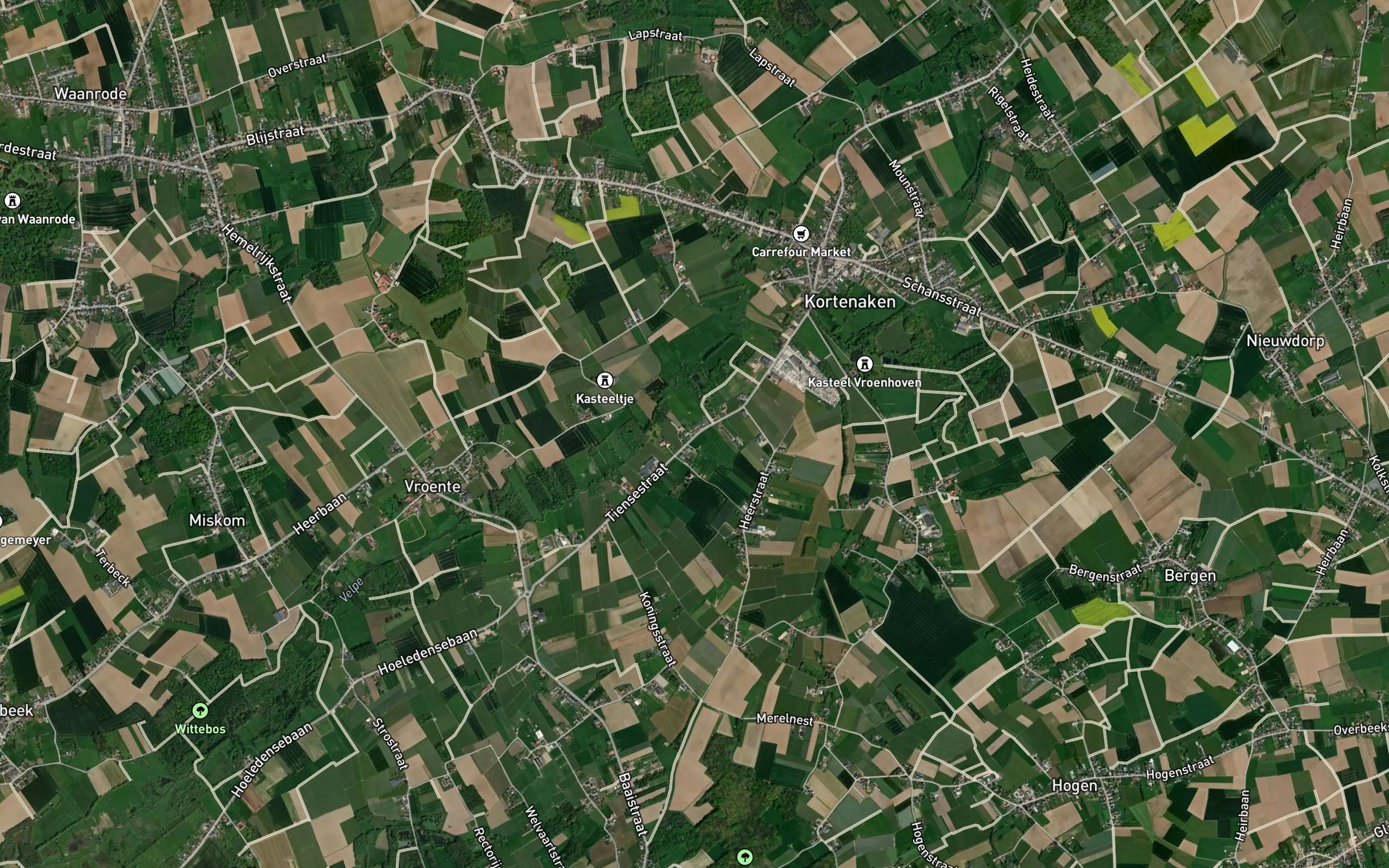Satellite map of the Walsbeek