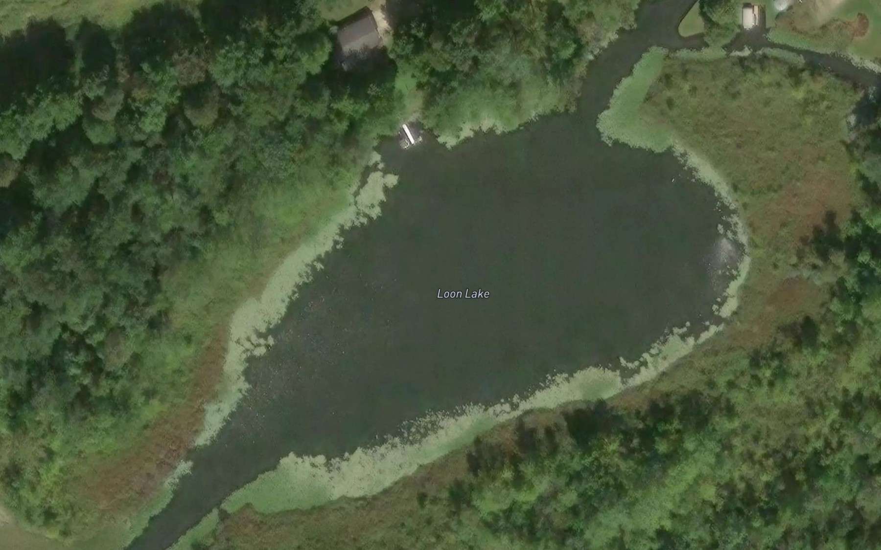 Satellite map of the Loon Lake