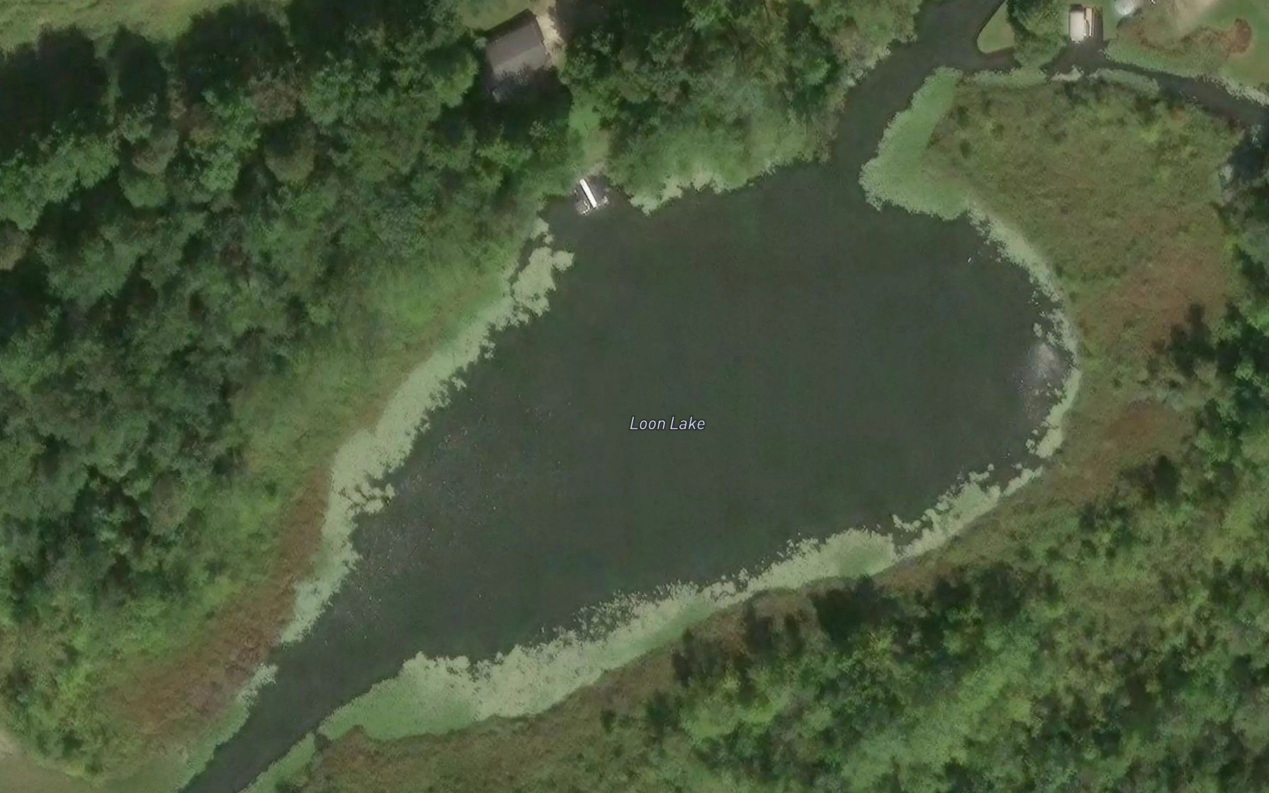 Loon Lake