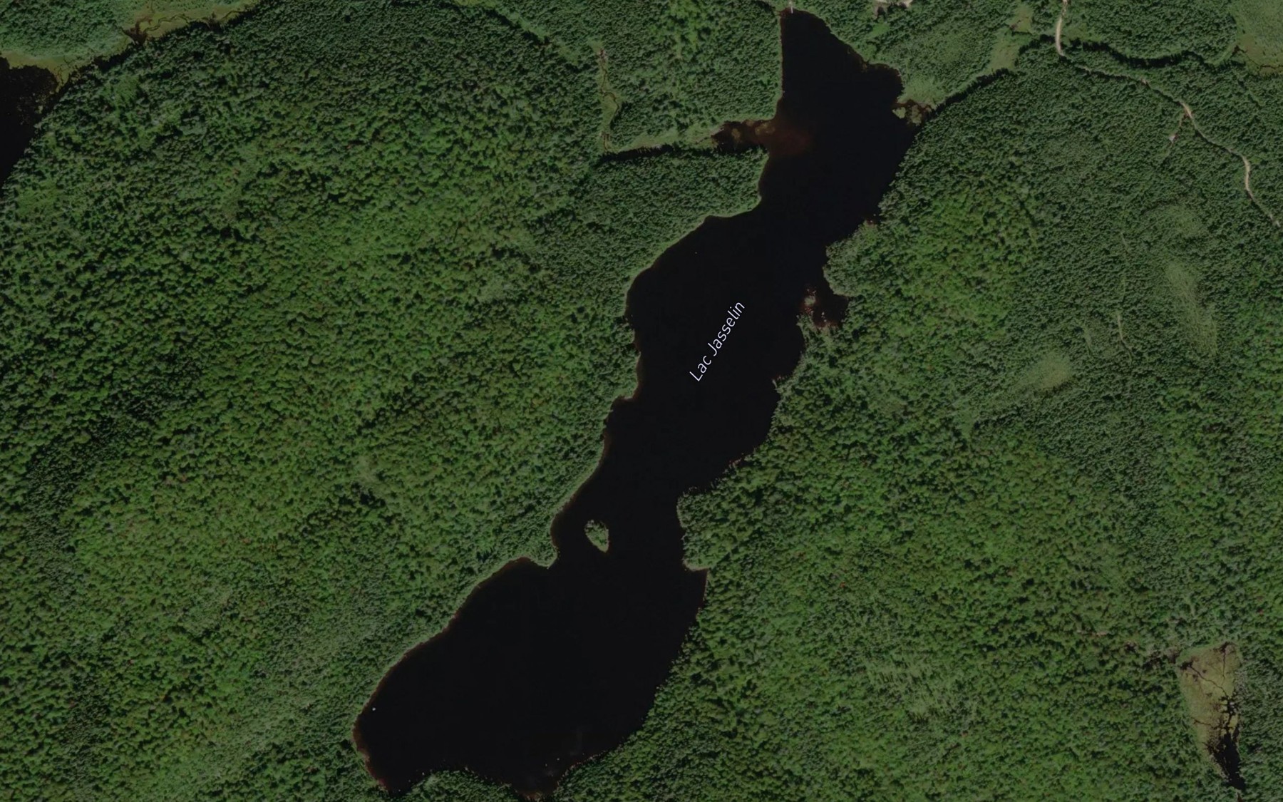 Satellite map of the Lac Jasselin