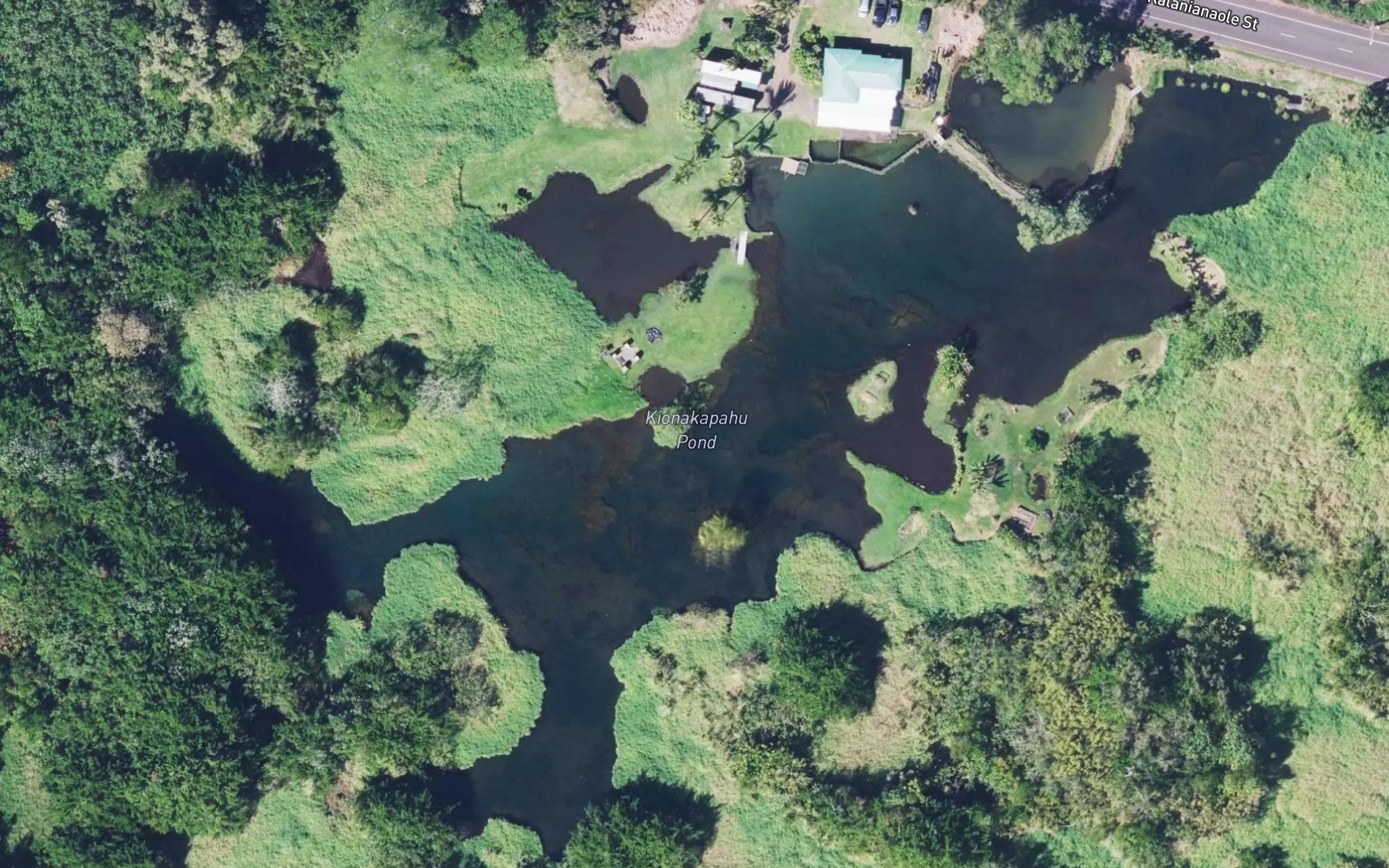 Kionakapahu Pond