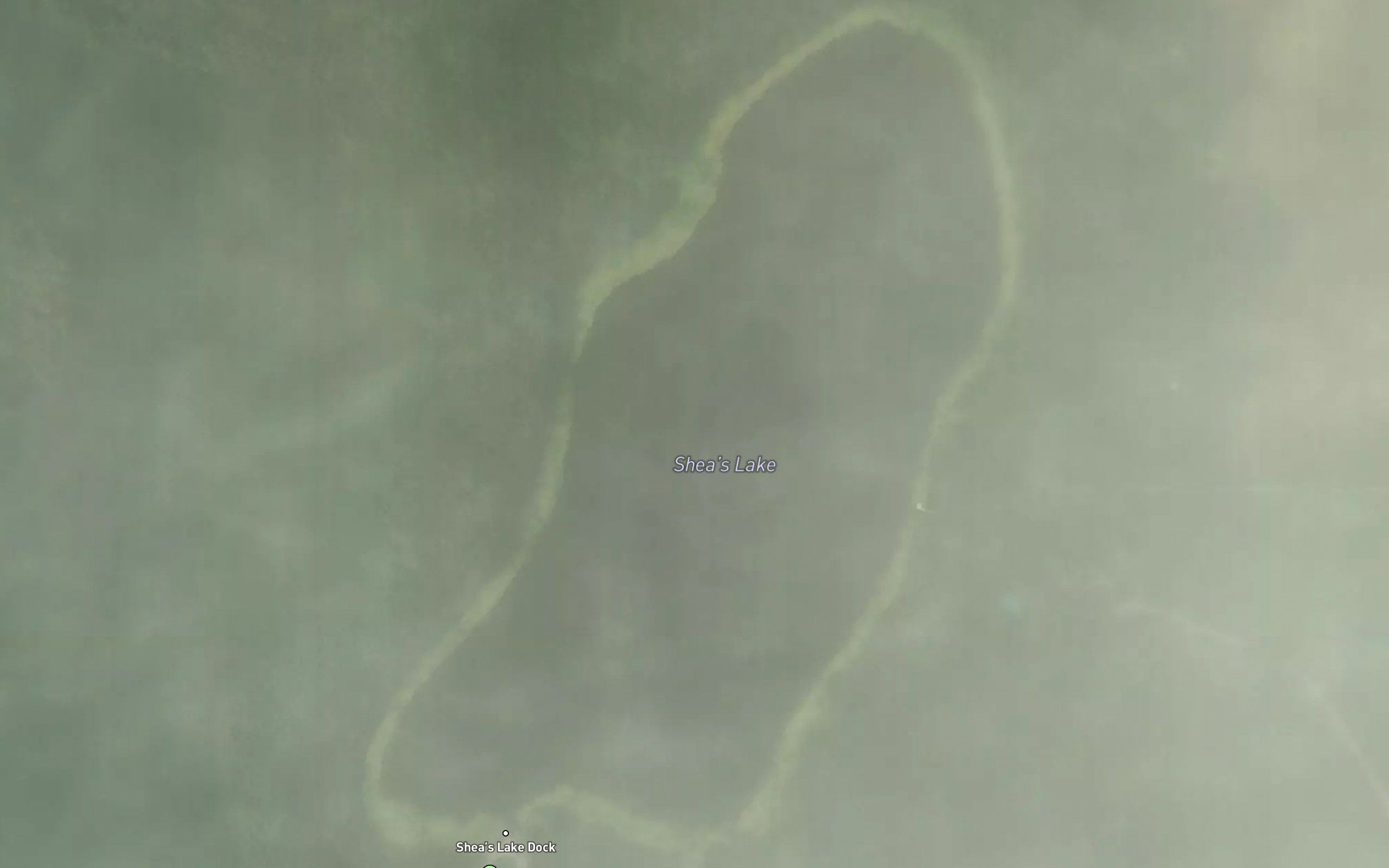 Shea Lake