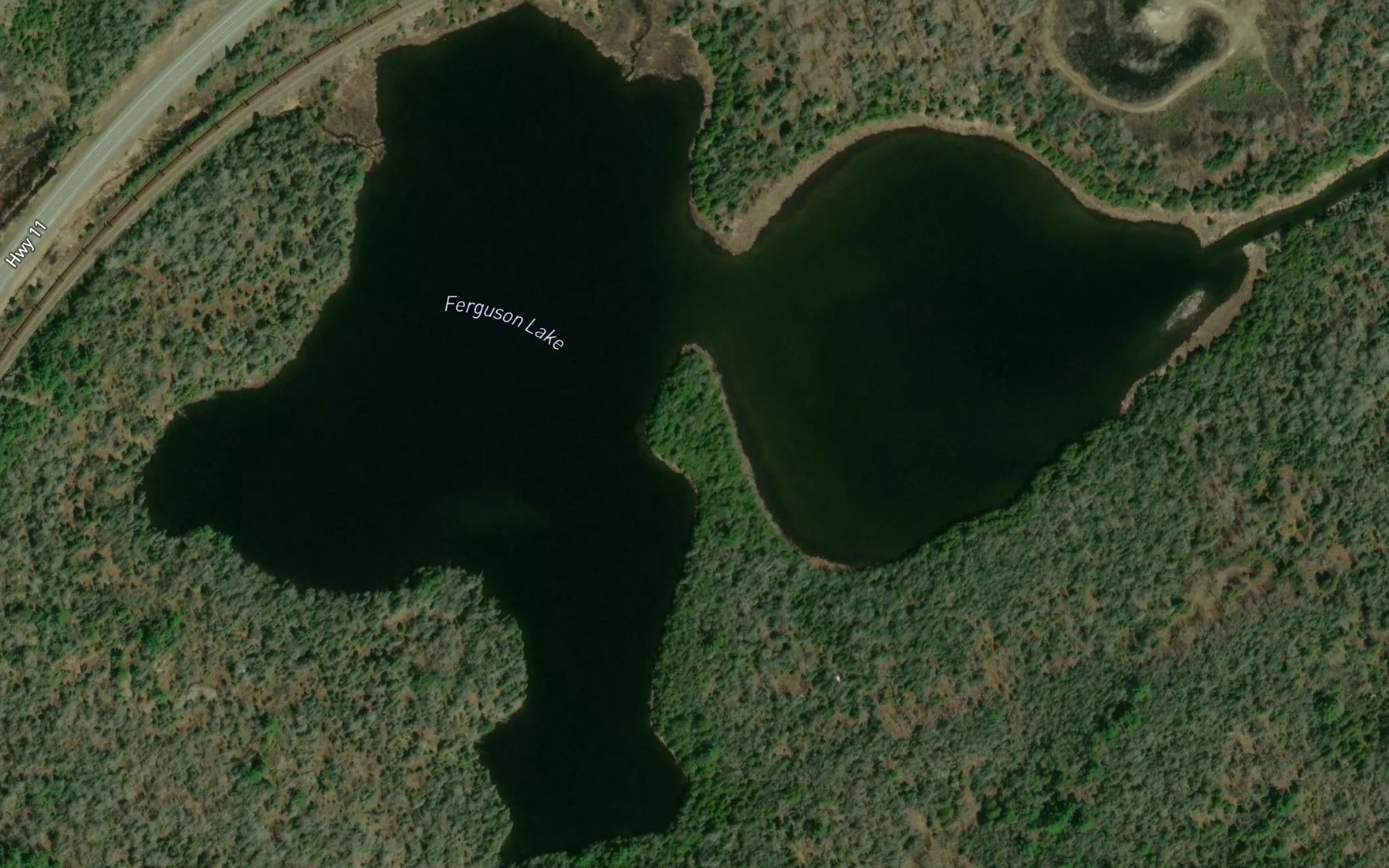 Satellite map of the Ferguson Lake