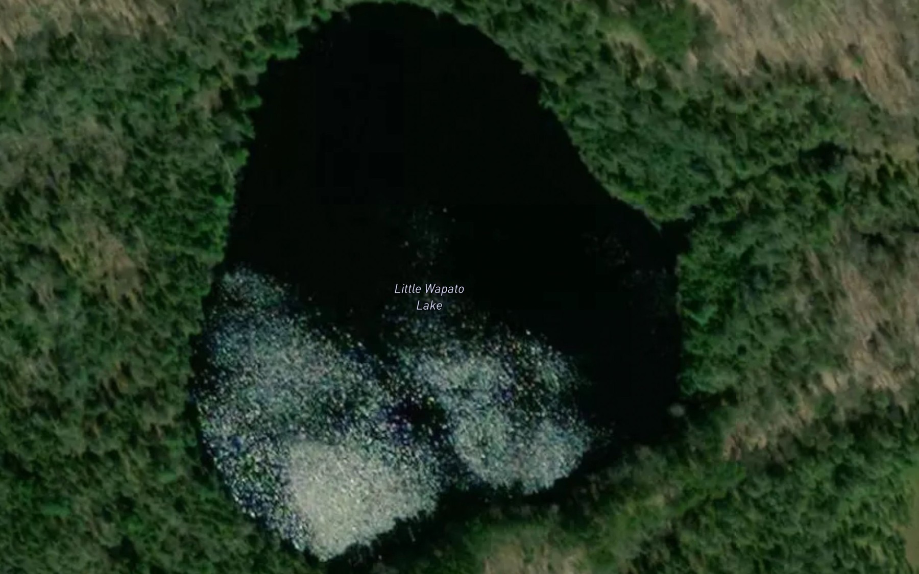 Satellite map of the Little Wapato Lake