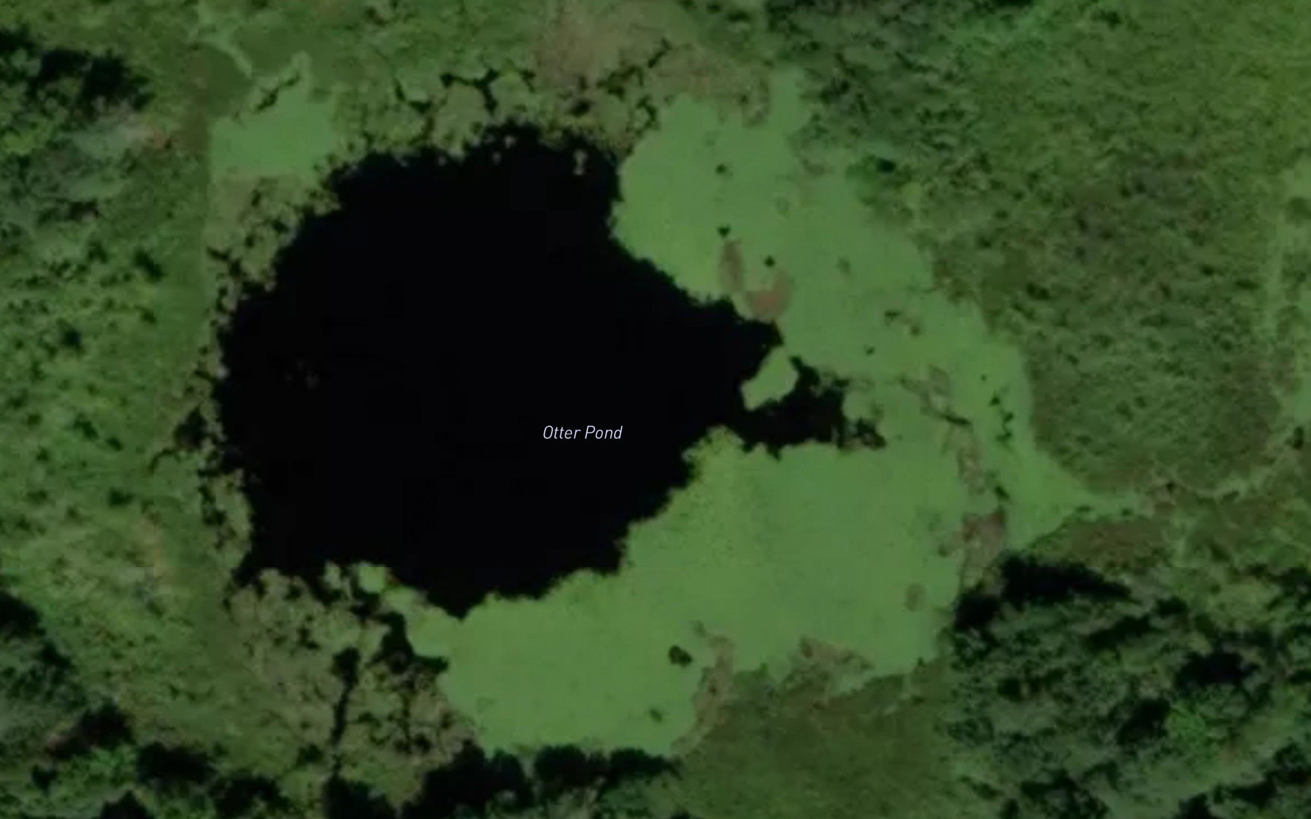 Otter Pond