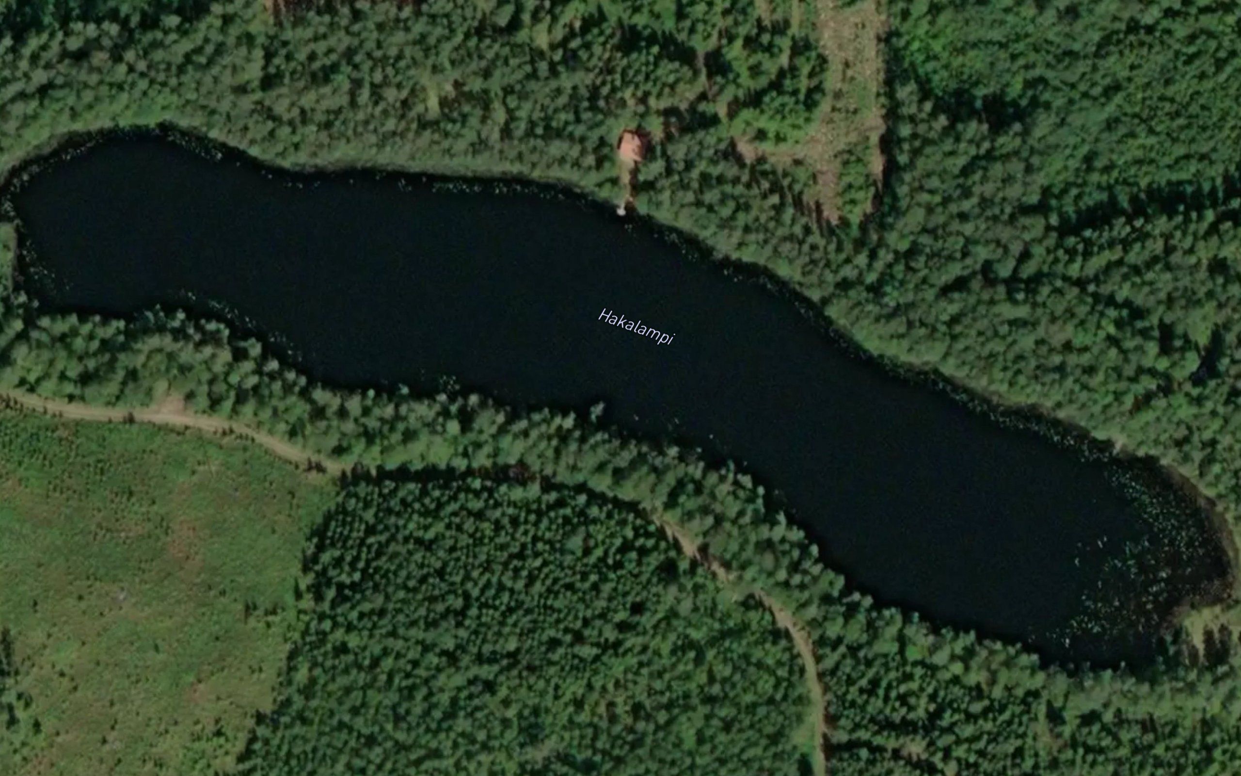 Hakalampi