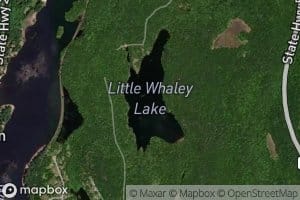 Little Whaley Lake