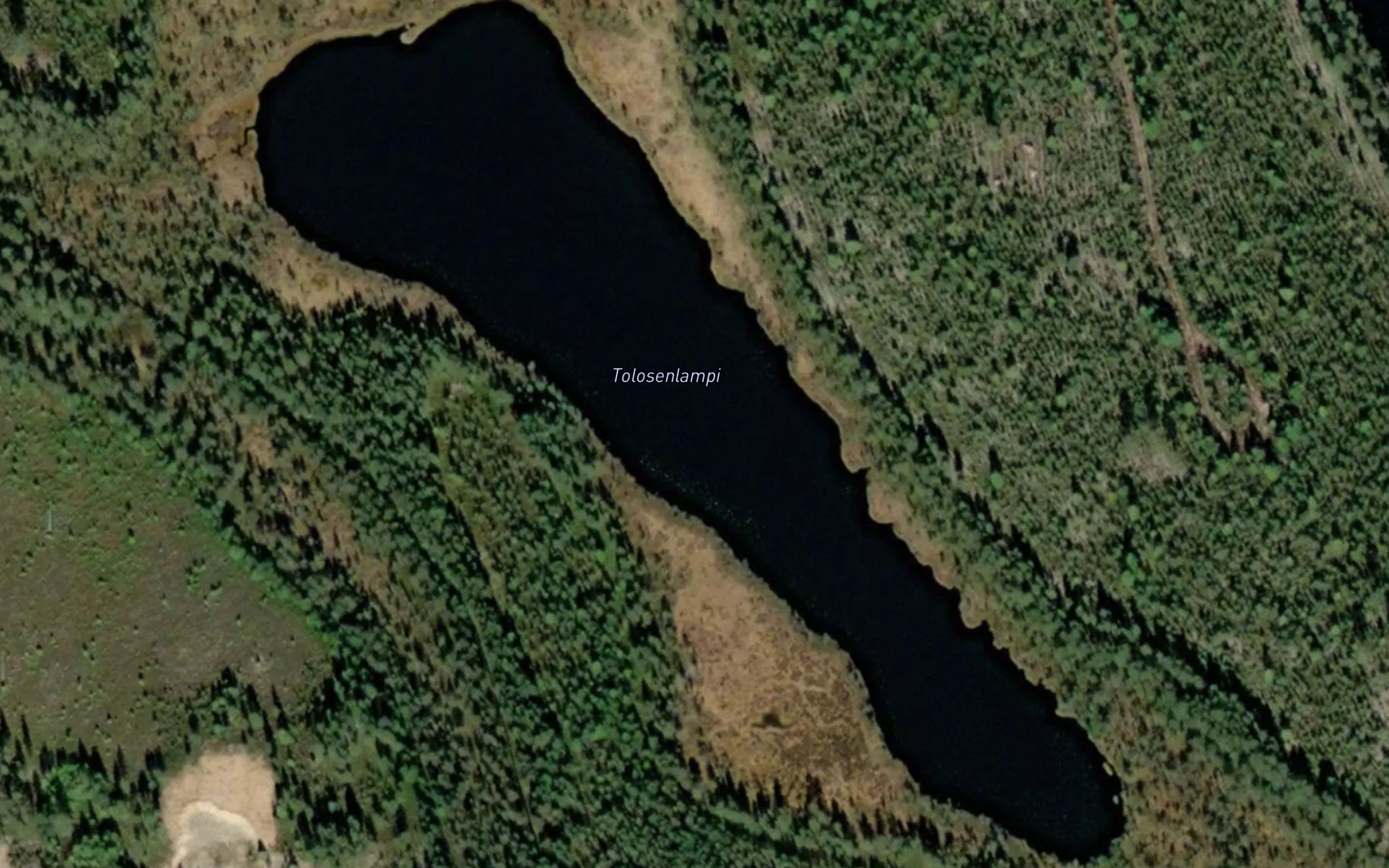 Tolosenlampi