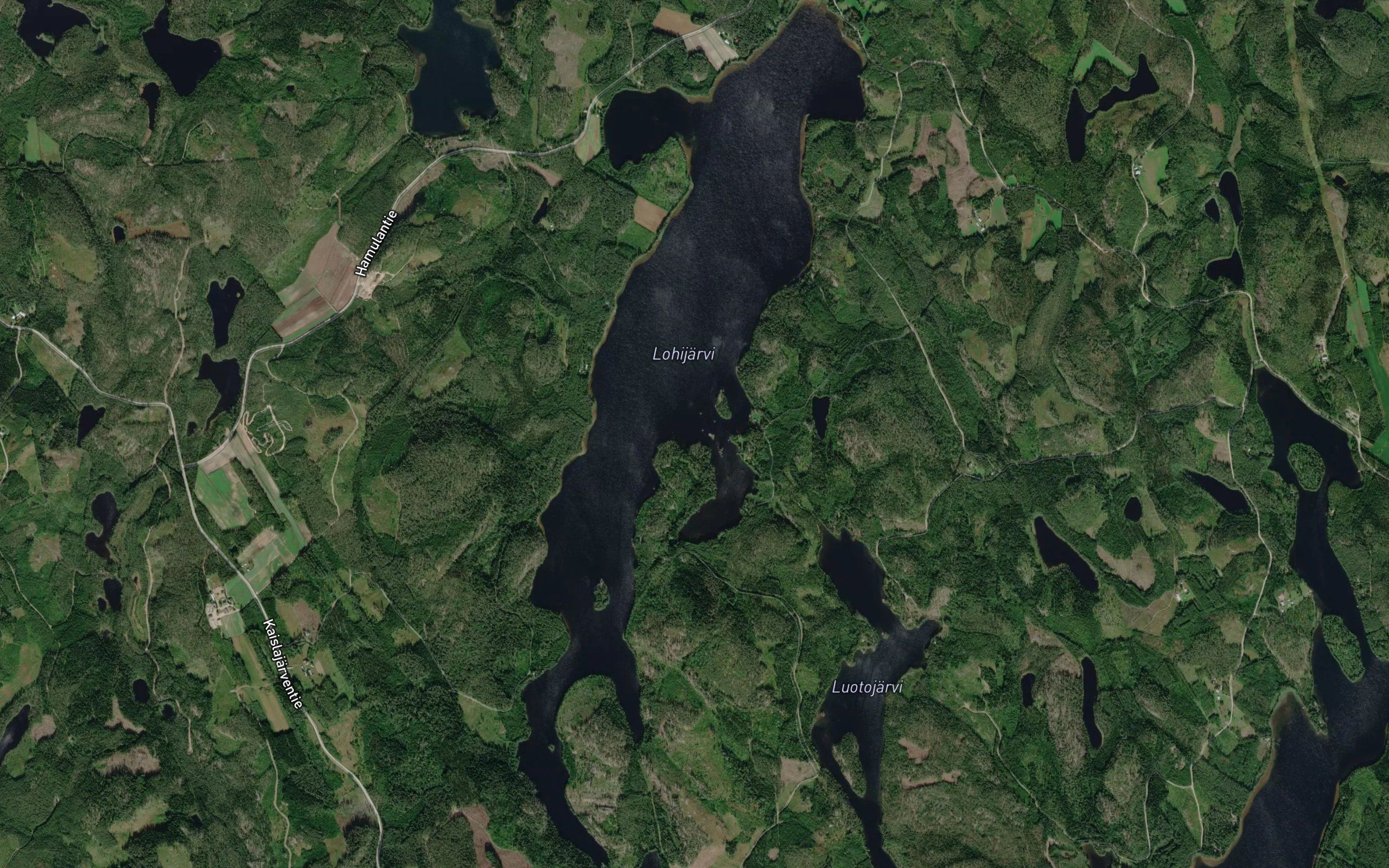 Lohijarvi