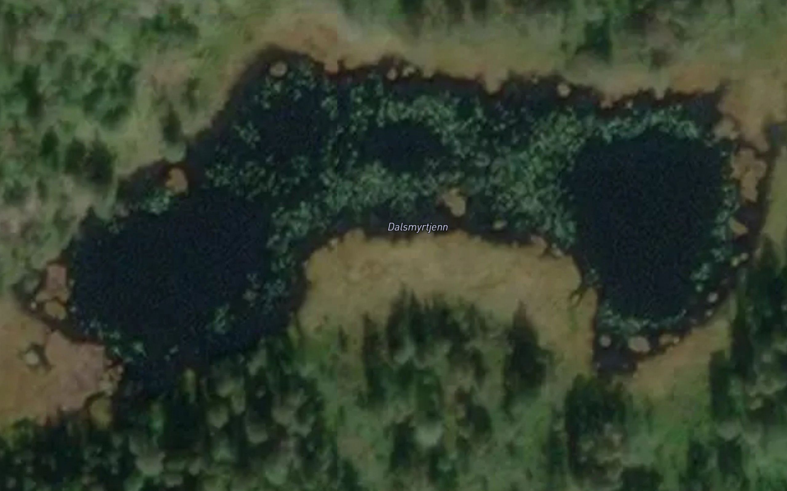 Dalstjorn