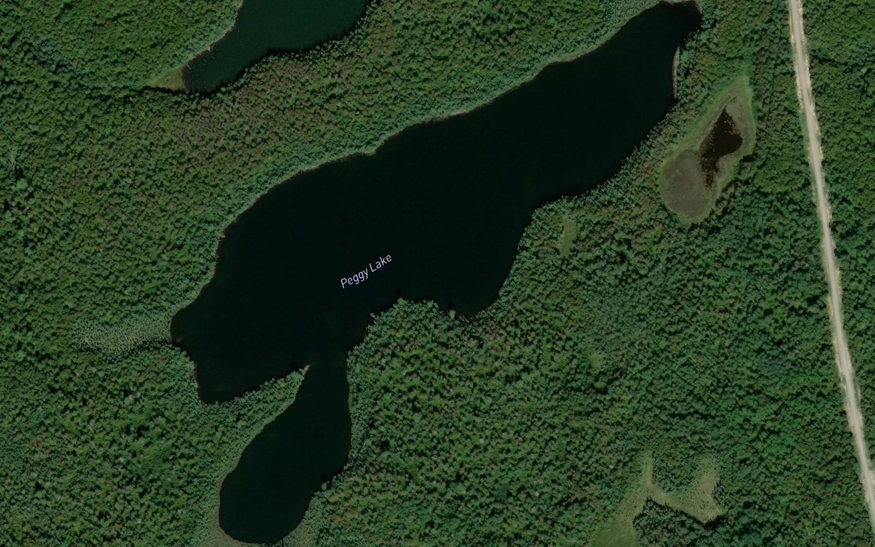 Satellite map of the Peggy Lake