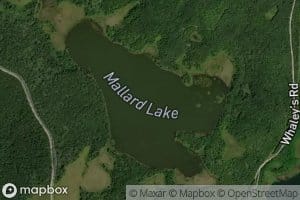 Mallard Lake