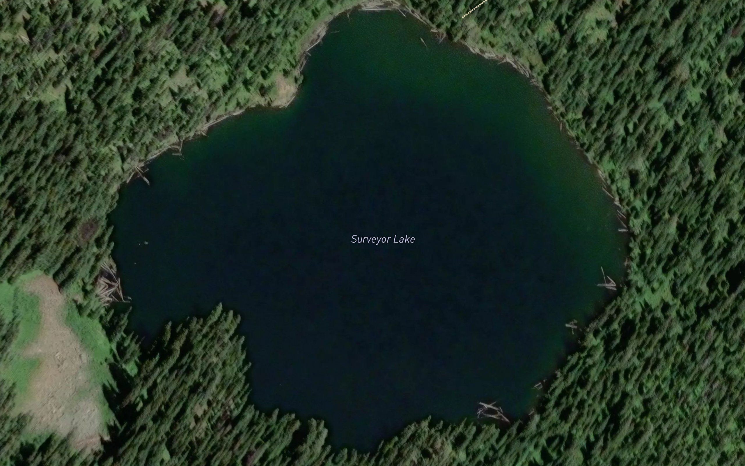 Surveyor Lake