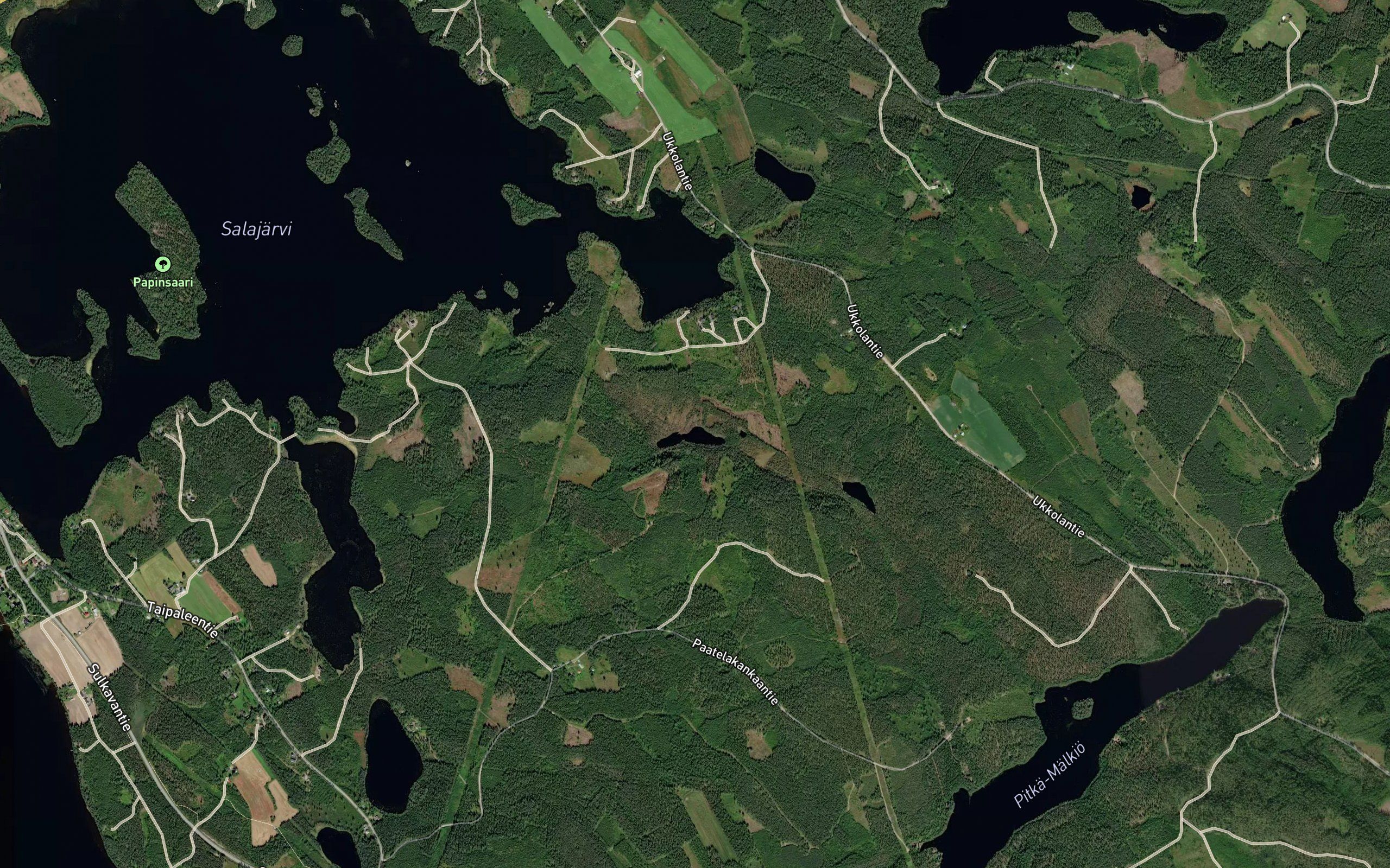 Vuorienlammit