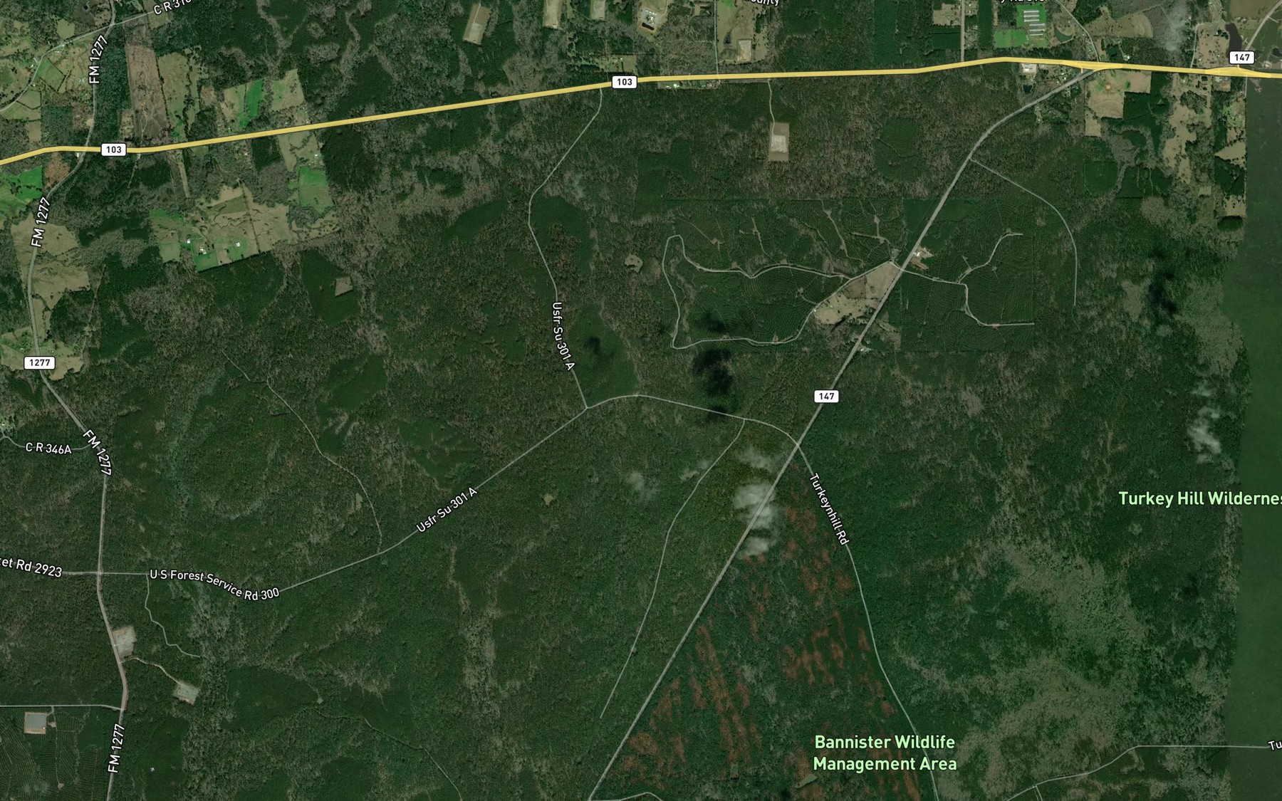 Satellite map of the Hunts Lake