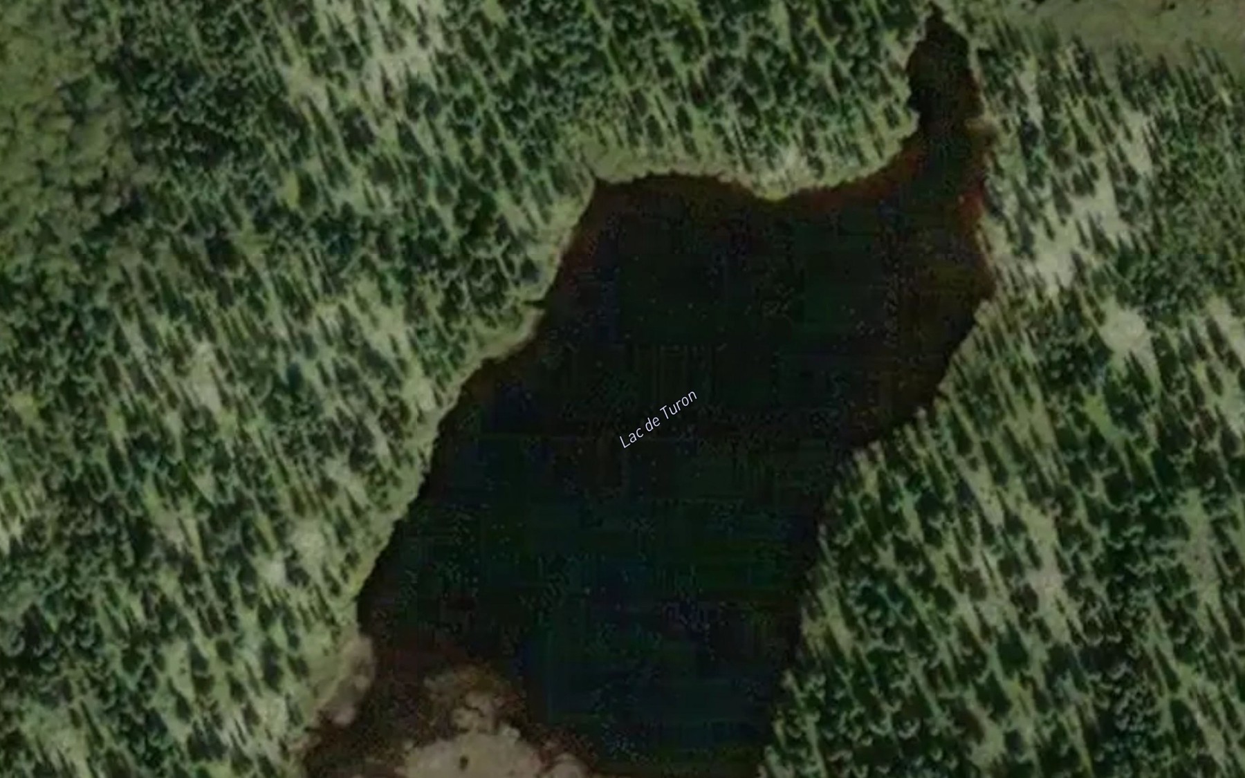 Satellite map of the Lac de Turon