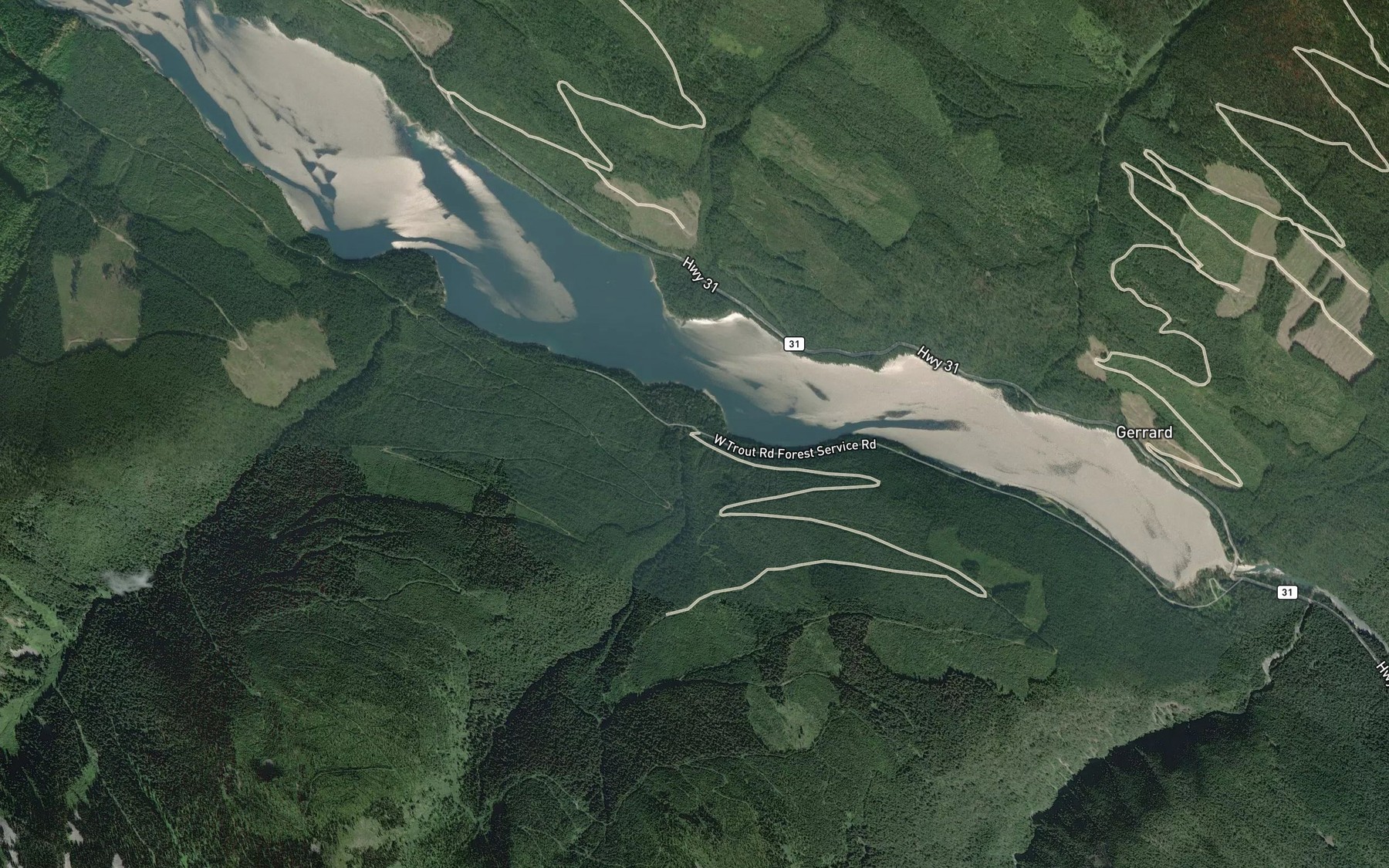 Satellite map of the Benson Creek