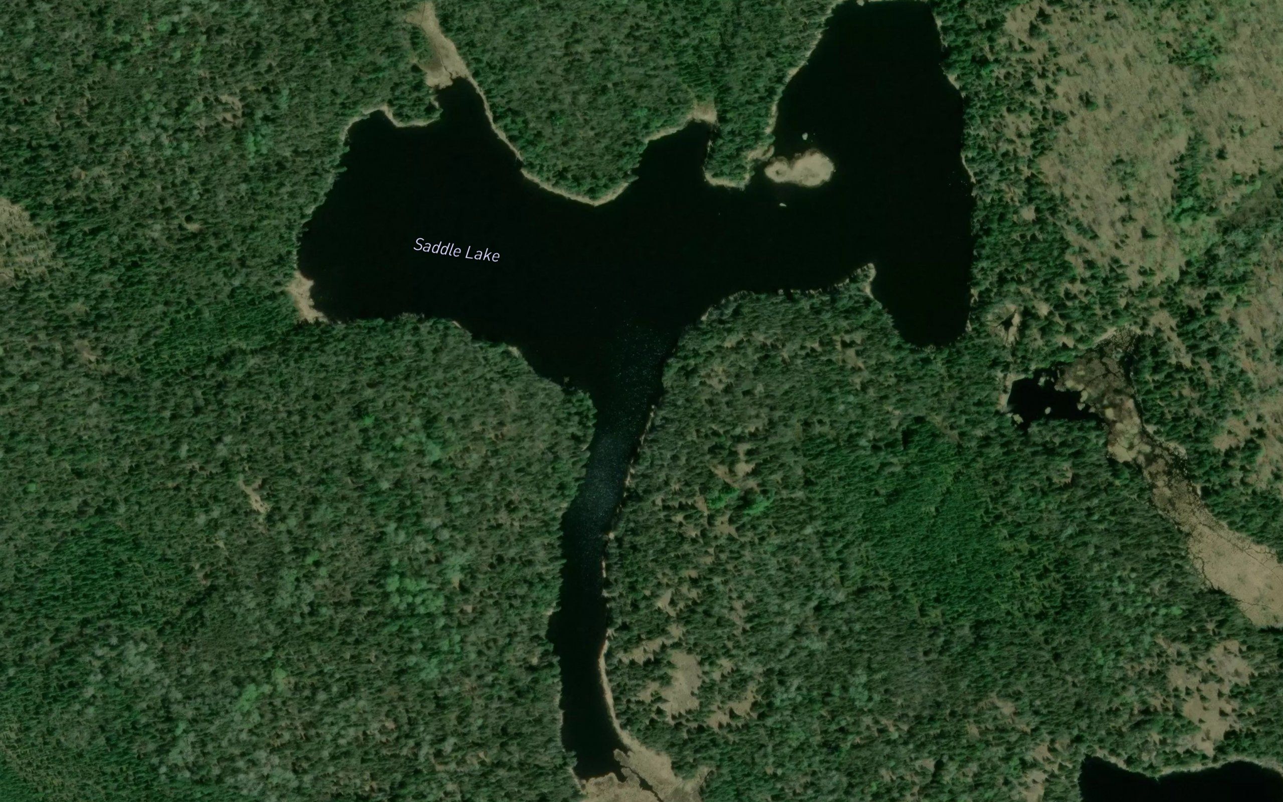 Saddle Lake